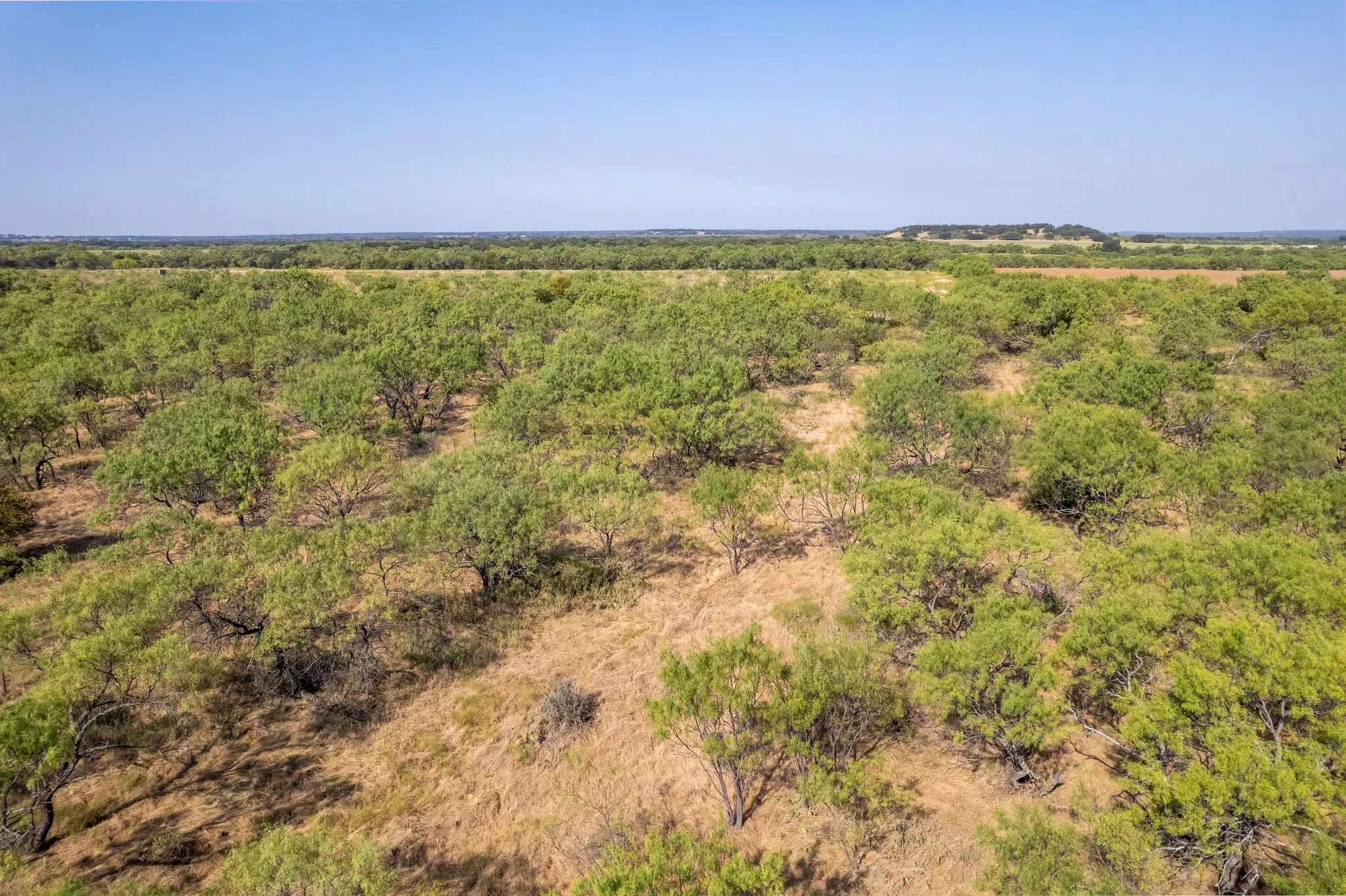 Unimproved Land For Sale in Eastland County , 454 CR 196, Gorman, Texas 76454, 0, 0, Garage spaces, 0 Sqft, built in 0, mls#21370182, Real Estate Agent in Gorman, Homes For Sale in Eastland county, Homes For Sale in Gorman, Realtor in Gorman Texas, Real Estate Brokerage Independent Realty Texas, Luminita Cordes Realtor