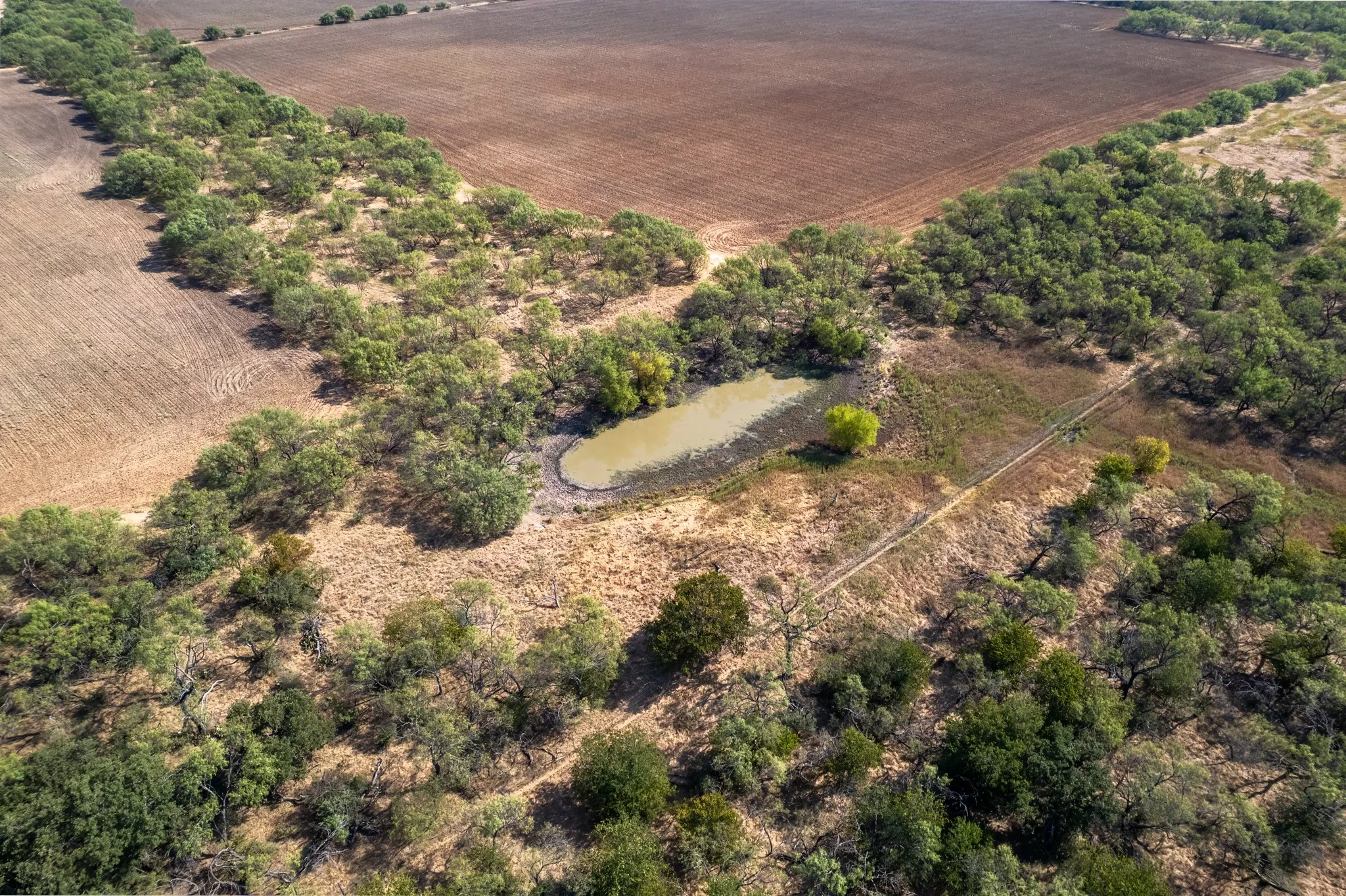 Unimproved Land For Sale in Eastland County , 454 CR 196, Gorman, Texas 76454, 0, 0, Garage spaces, 0 Sqft, built in 0, mls#21370182, Real Estate Agent in Gorman, Homes For Sale in Eastland county, Homes For Sale in Gorman, Realtor in Gorman Texas, Real Estate Brokerage Independent Realty Texas, Luminita Cordes Realtor