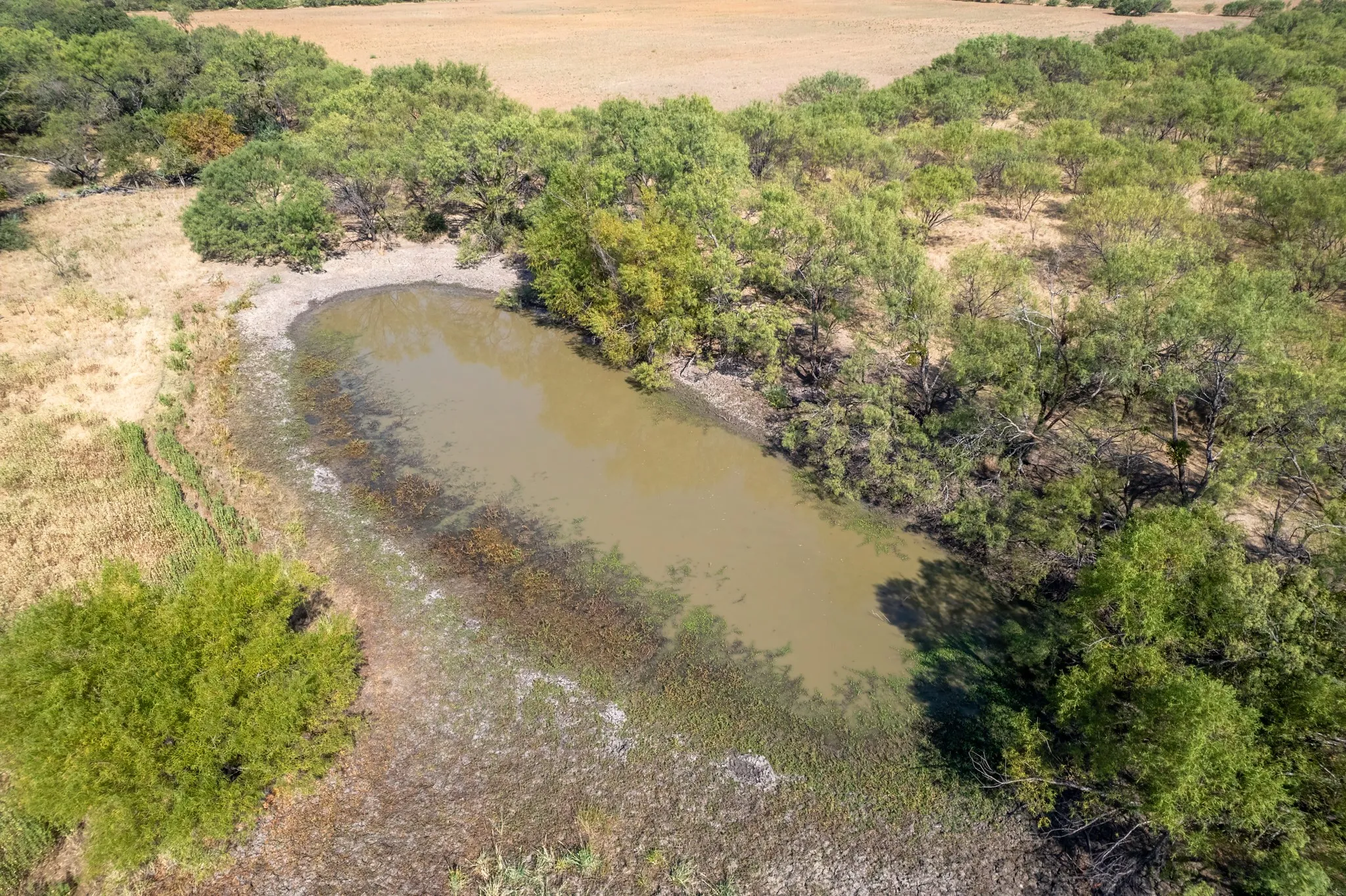 Unimproved Land For Sale in Eastland County , 454 CR 196, Gorman, Texas 76454, 0, 0, Garage spaces, 0 Sqft, built in 0, mls#21370182, Real Estate Agent in Gorman, Homes For Sale in Eastland county, Homes For Sale in Gorman, Realtor in Gorman Texas, Real Estate Brokerage Independent Realty Texas, Luminita Cordes Realtor