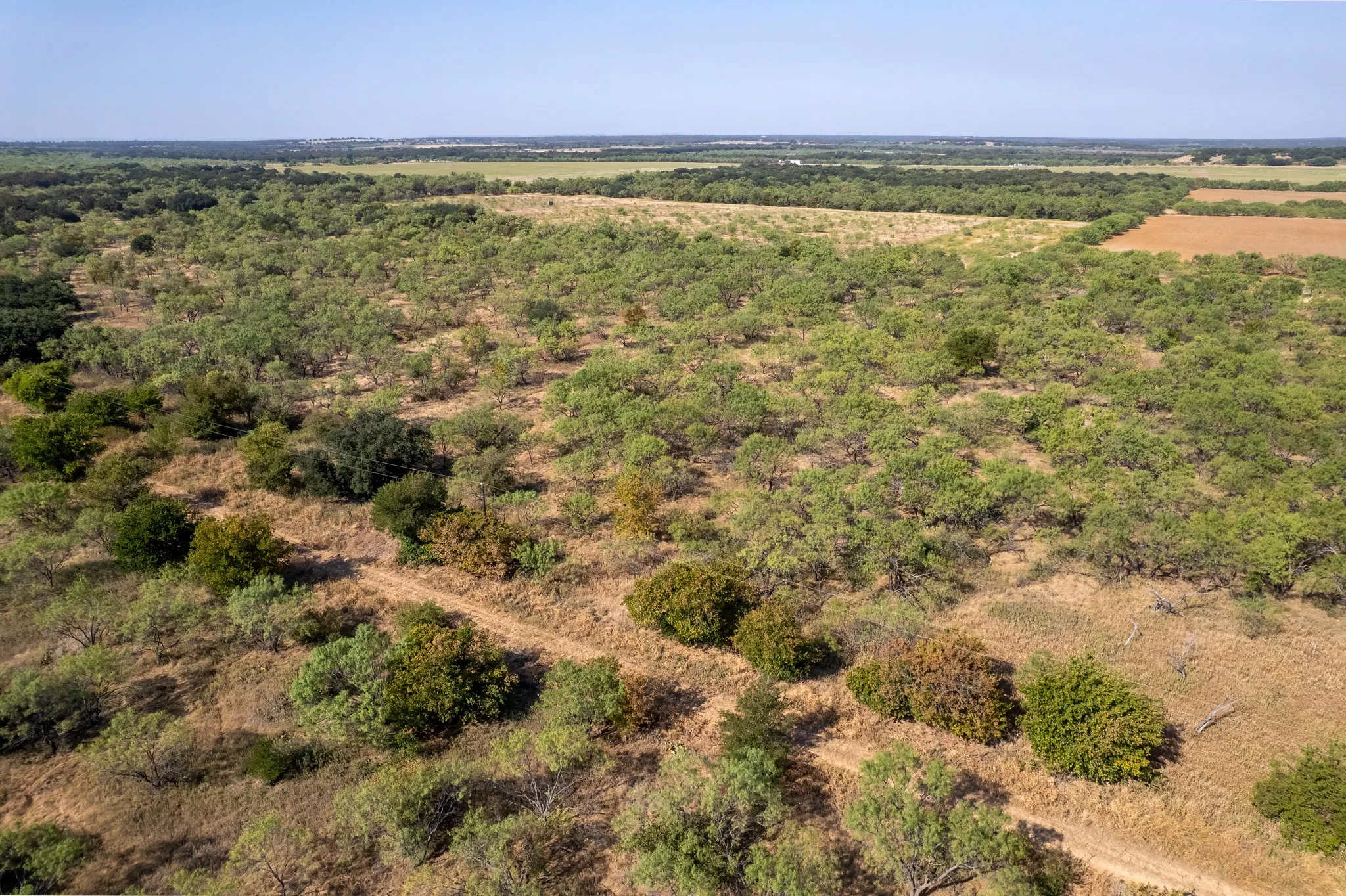 Unimproved Land For Sale in Eastland County , 454 CR 196, Gorman, Texas 76454, 0, 0, Garage spaces, 0 Sqft, built in 0, mls#21370182, Real Estate Agent in Gorman, Homes For Sale in Eastland county, Homes For Sale in Gorman, Realtor in Gorman Texas, Real Estate Brokerage Independent Realty Texas, Luminita Cordes Realtor