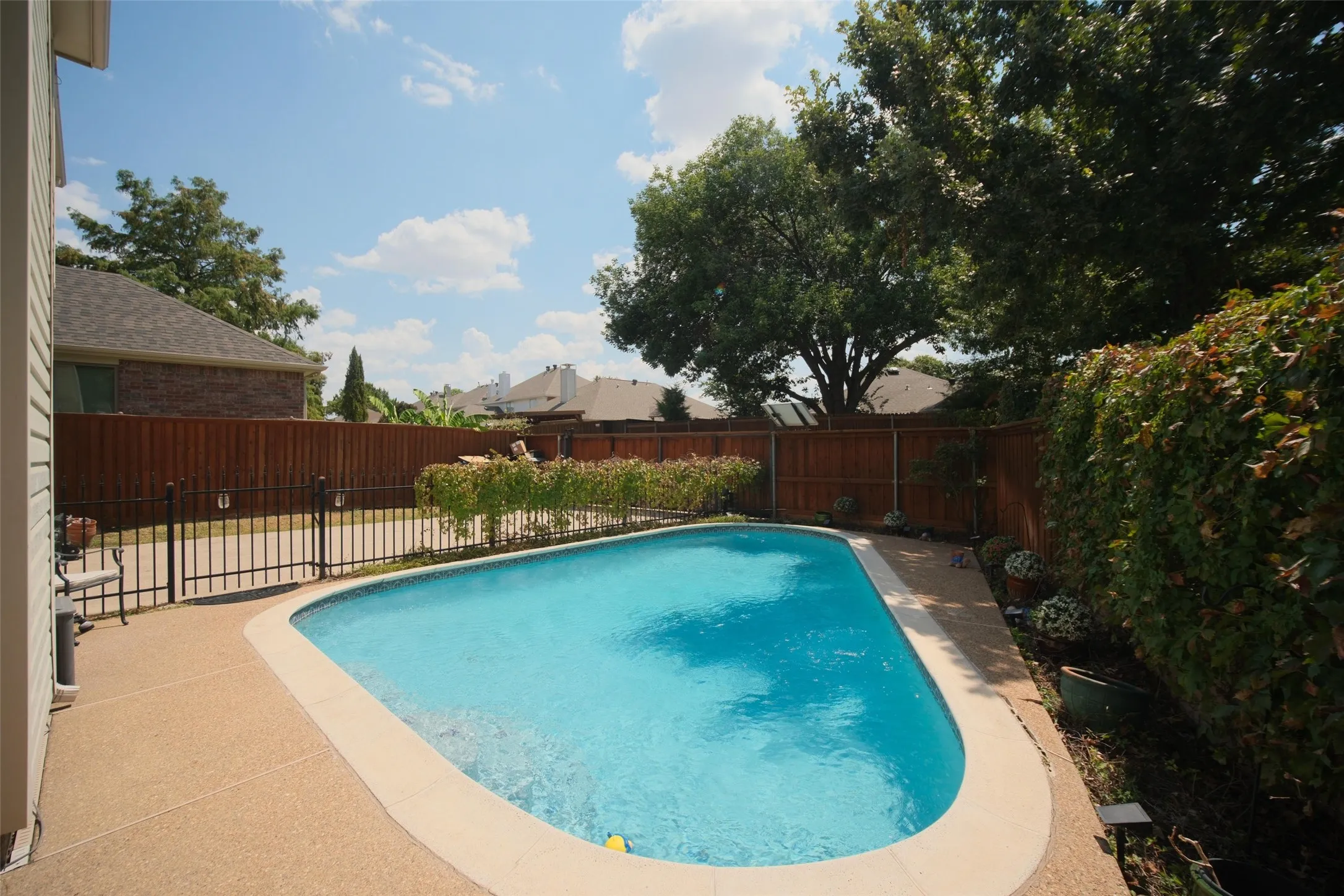 Curved swimming pool with light-colored coping, surrounded by a textured concrete patio
