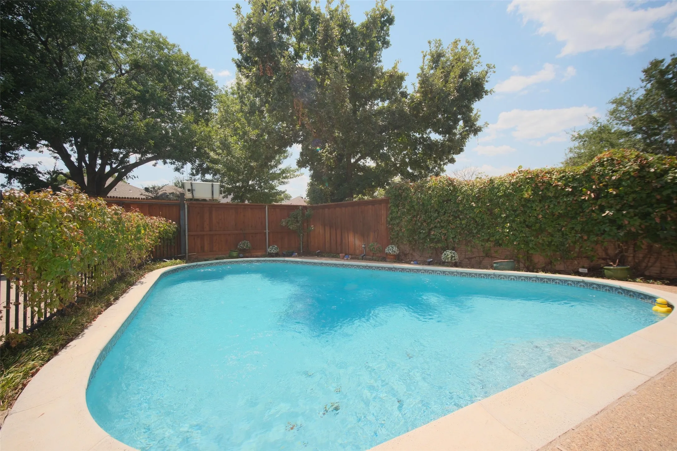 Rectangular swimming pool with a mosaic tile border, concrete coping, and surrounding mature landscaping