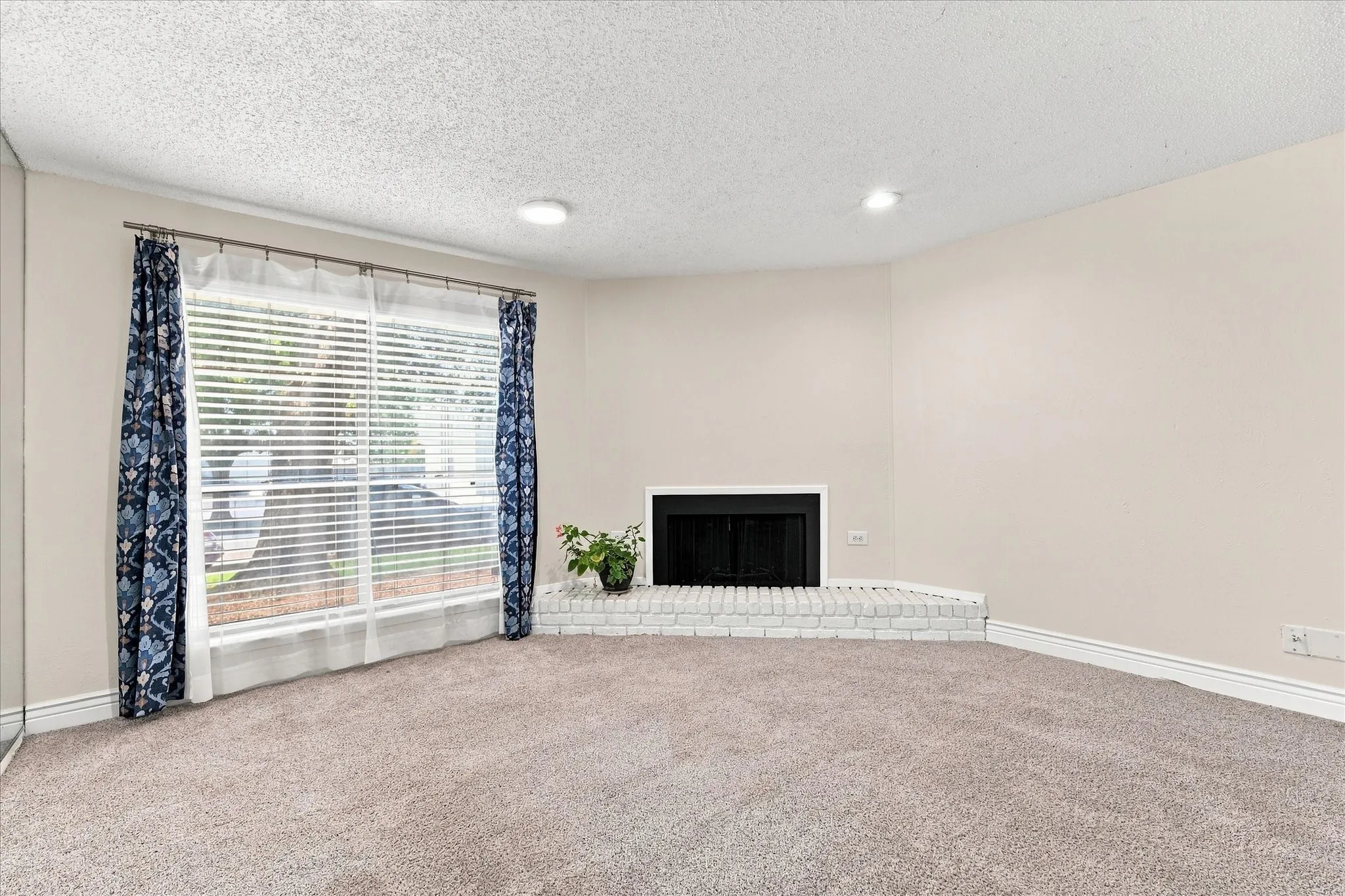 Big window &  Fireplace to enjoy
