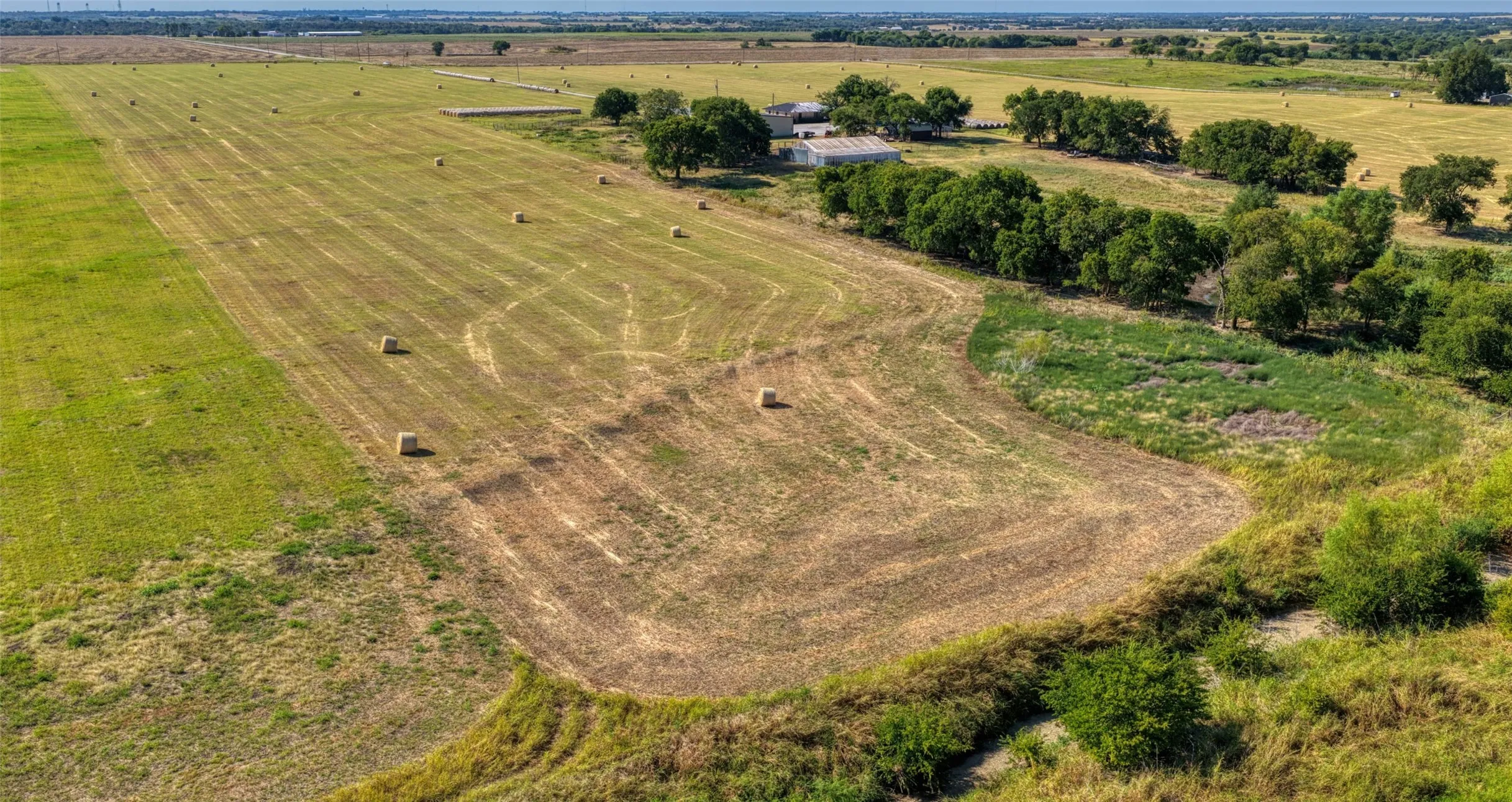 Expansive rural landscape featuring cultivated fields and scattered trees