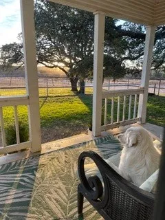 Love this sunrise from the front porch