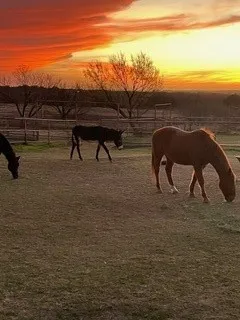 Gorgeous sunset