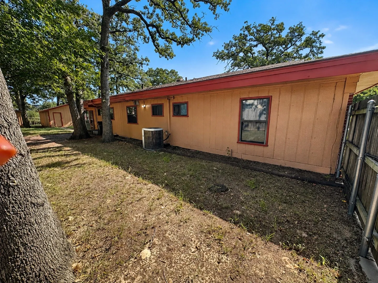 Full Backyard