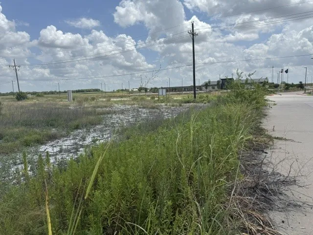 Unimproved Land For Sale in Collin County , 0000 S S COLLIN Parkway, Farmersville, Texas 75442, 0, 0, Garage spaces, 0 Sqft, built in 0, mls#21373383, Real Estate Agent in Farmersville, Homes For Sale in Collin county, Homes For Sale in Farmersville, Realtor in Farmersville Texas, Real Estate Brokerage Independent Realty Texas, Luminita Cordes Realtor
