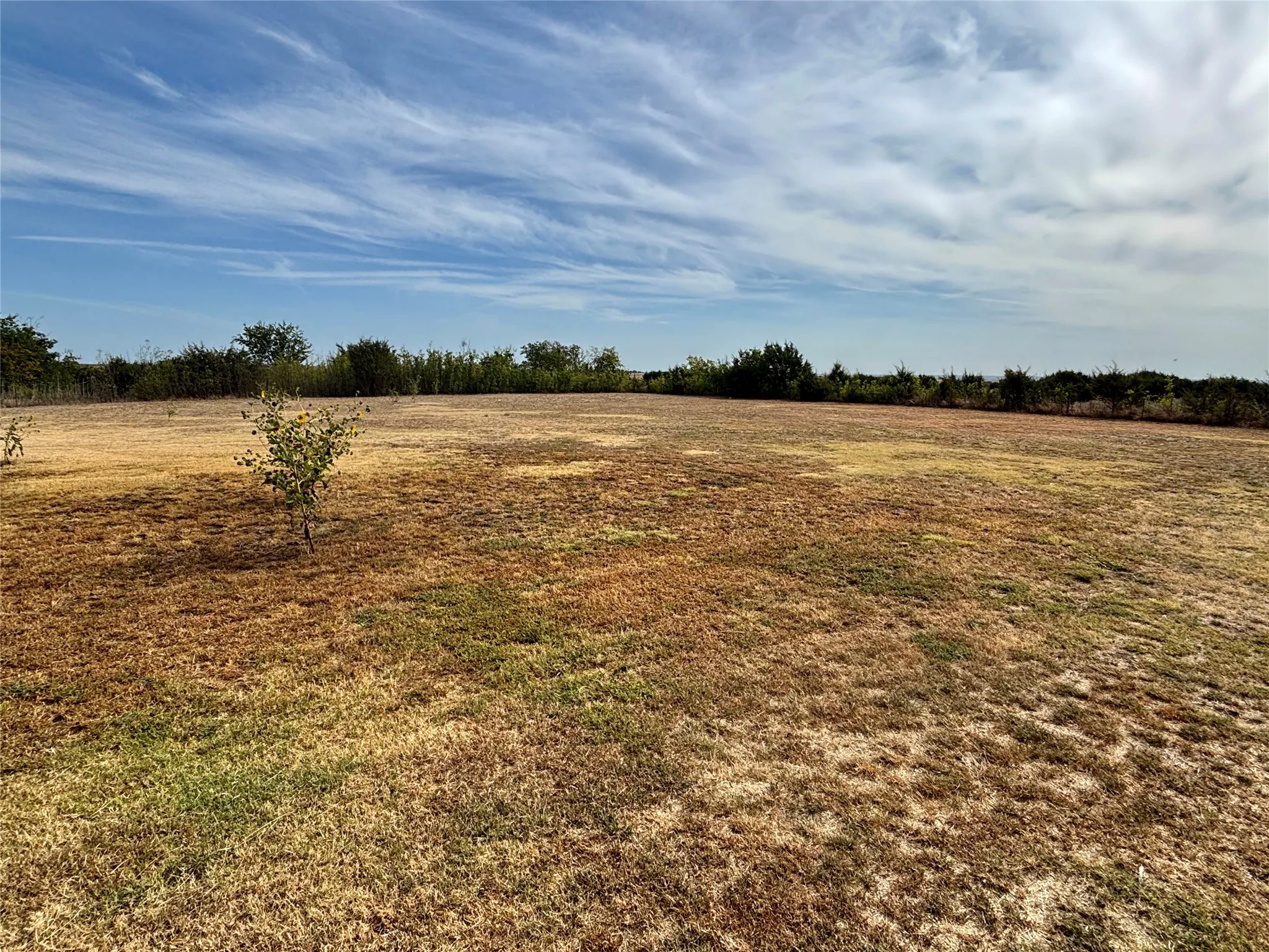 Single Family Residence For Sale in Coryell County , 3740 County Road 127, Gatesville, Texas 76528, 3 Bedroom, 2 Bathroom, Garage spaces, 1,716 Sqft, built in 2017, mls#21371970, Real Estate Agent in Gatesville, Homes For Sale in Coryell county, Homes For Sale in Gatesville, Realtor in Gatesville Texas, Real Estate Brokerage Independent Realty Texas, Luminita Cordes Realtor