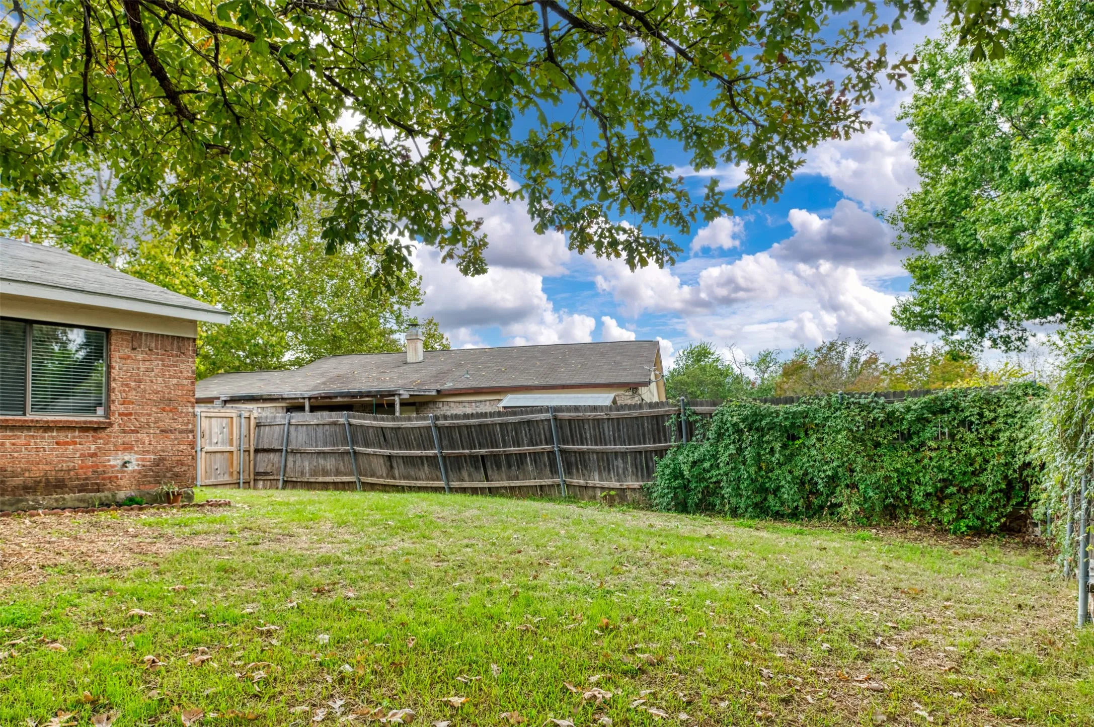 Expansive green lawn with mature trees and a privacy fence