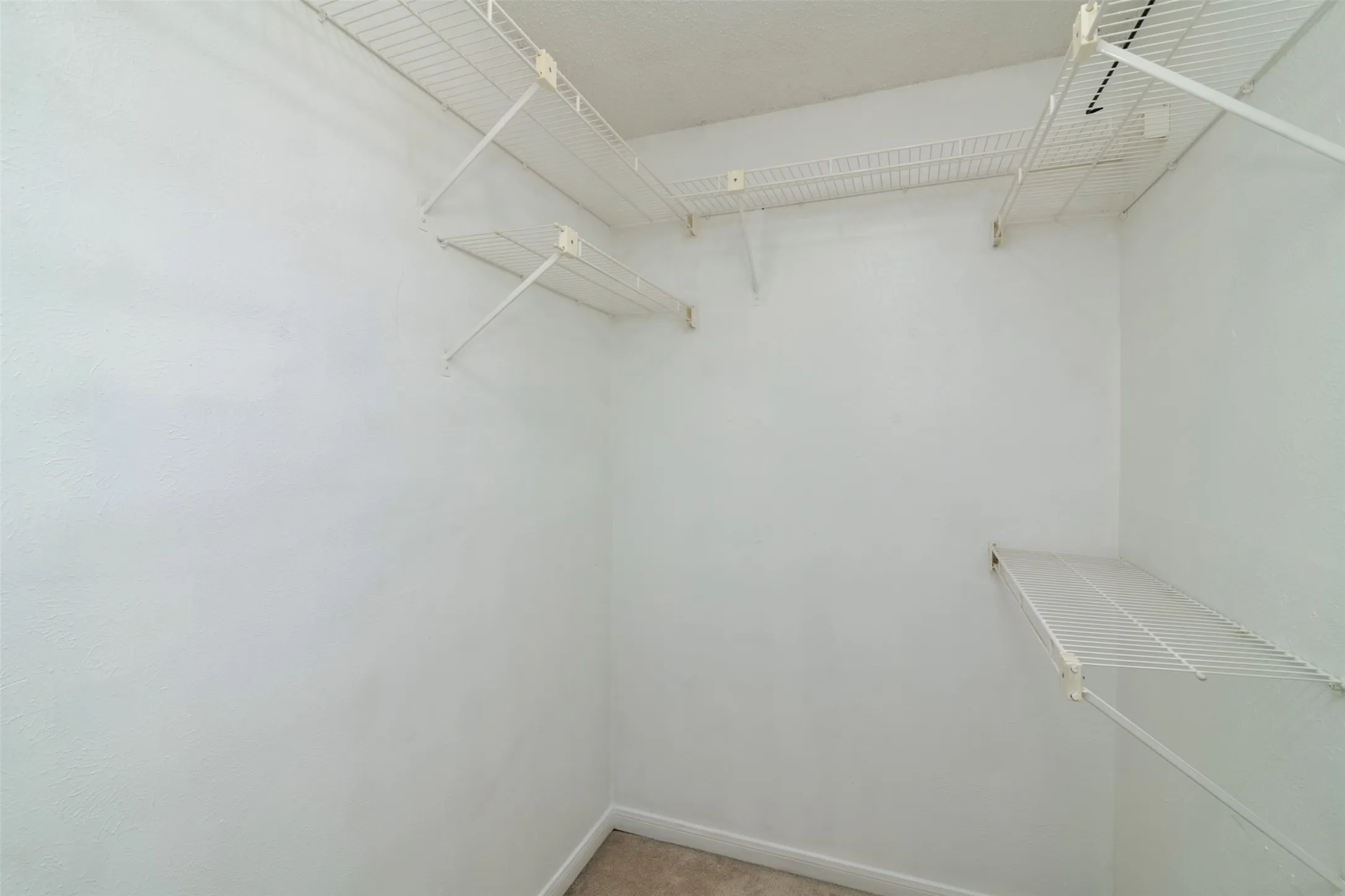 Closet space featuring white wire shelving and a neutral carpeted floor