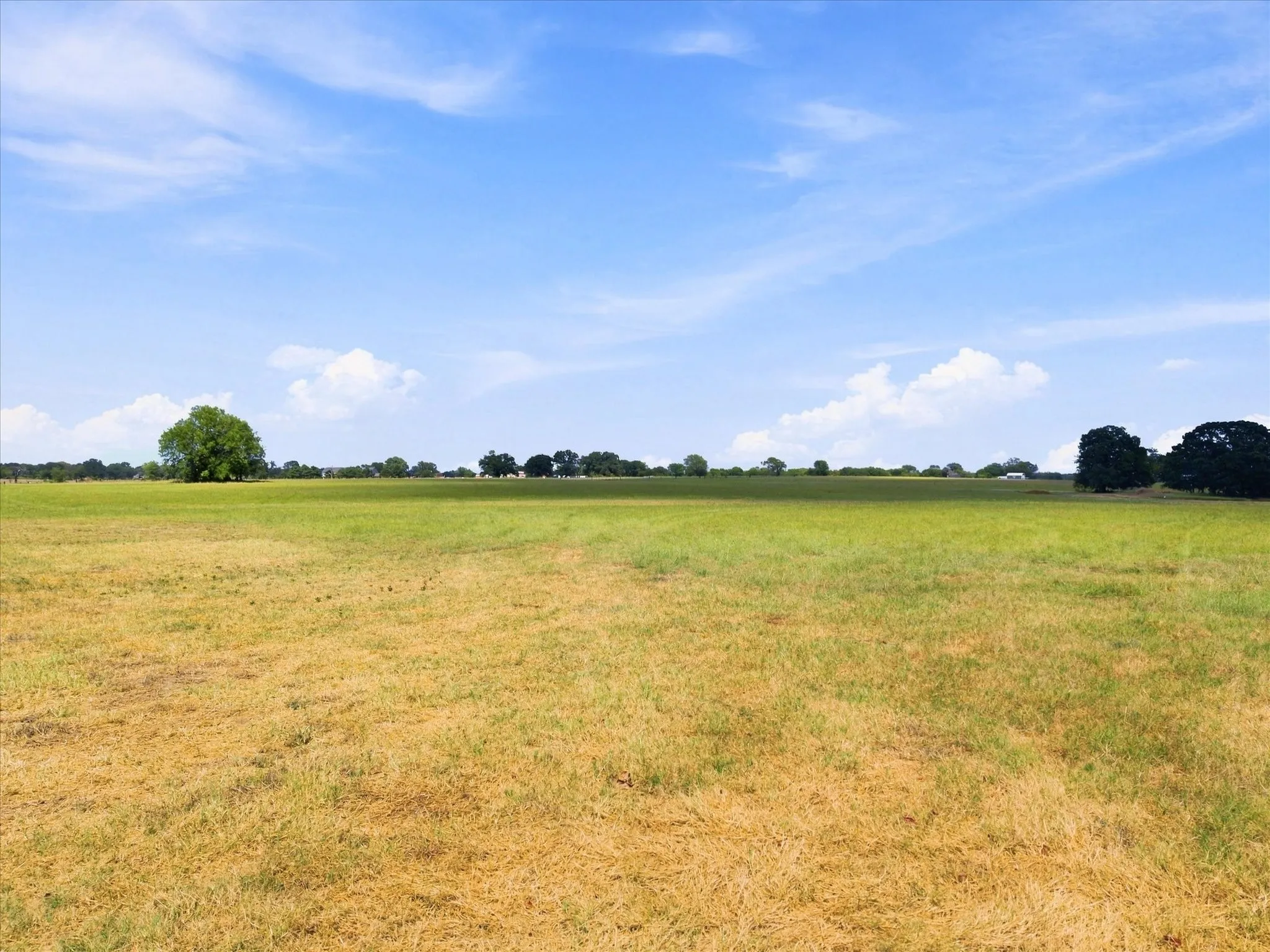 Unimproved Land For Sale in Rains County , TBD Rains County Road 2370, Alba, Texas 75410, 0, 0, Garage spaces, 0 Sqft, built in 0, mls#21371682, Real Estate Agent in Alba, Homes For Sale in Rains county, Homes For Sale in Alba, Realtor in Alba Texas, Real Estate Brokerage Independent Realty Texas, Luminita Cordes Realtor
