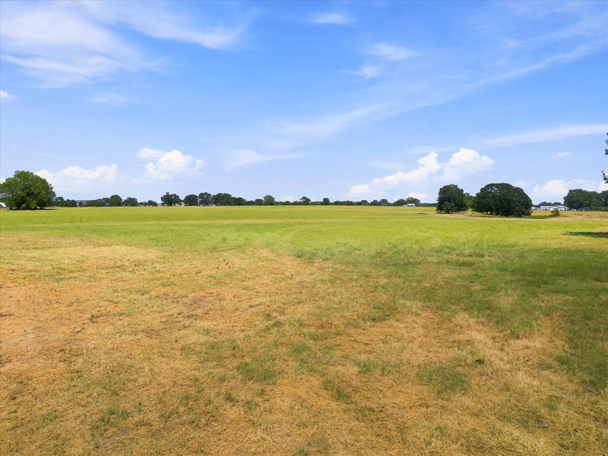 Unimproved Land For Sale in Rains County , TBD Rains County Road 2370, Alba, Texas 75410, 0, 0, Garage spaces, 0 Sqft, built in 0, mls#21371682, Real Estate Agent in Alba, Homes For Sale in Rains county, Homes For Sale in Alba, Realtor in Alba Texas, Real Estate Brokerage Independent Realty Texas, Luminita Cordes Realtor