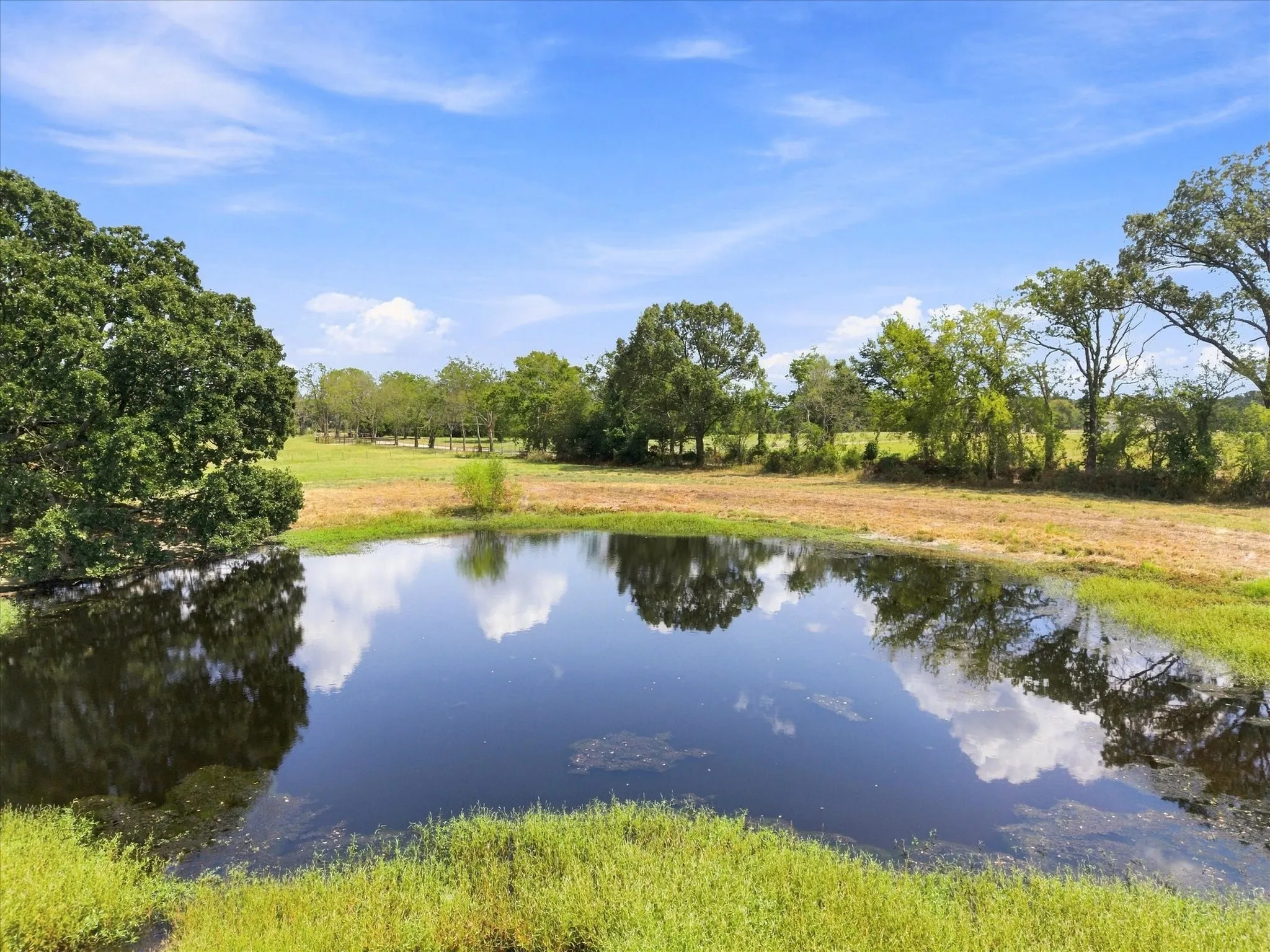 Stocked Pond - all it needs is a dock and an Automatic fish feeder