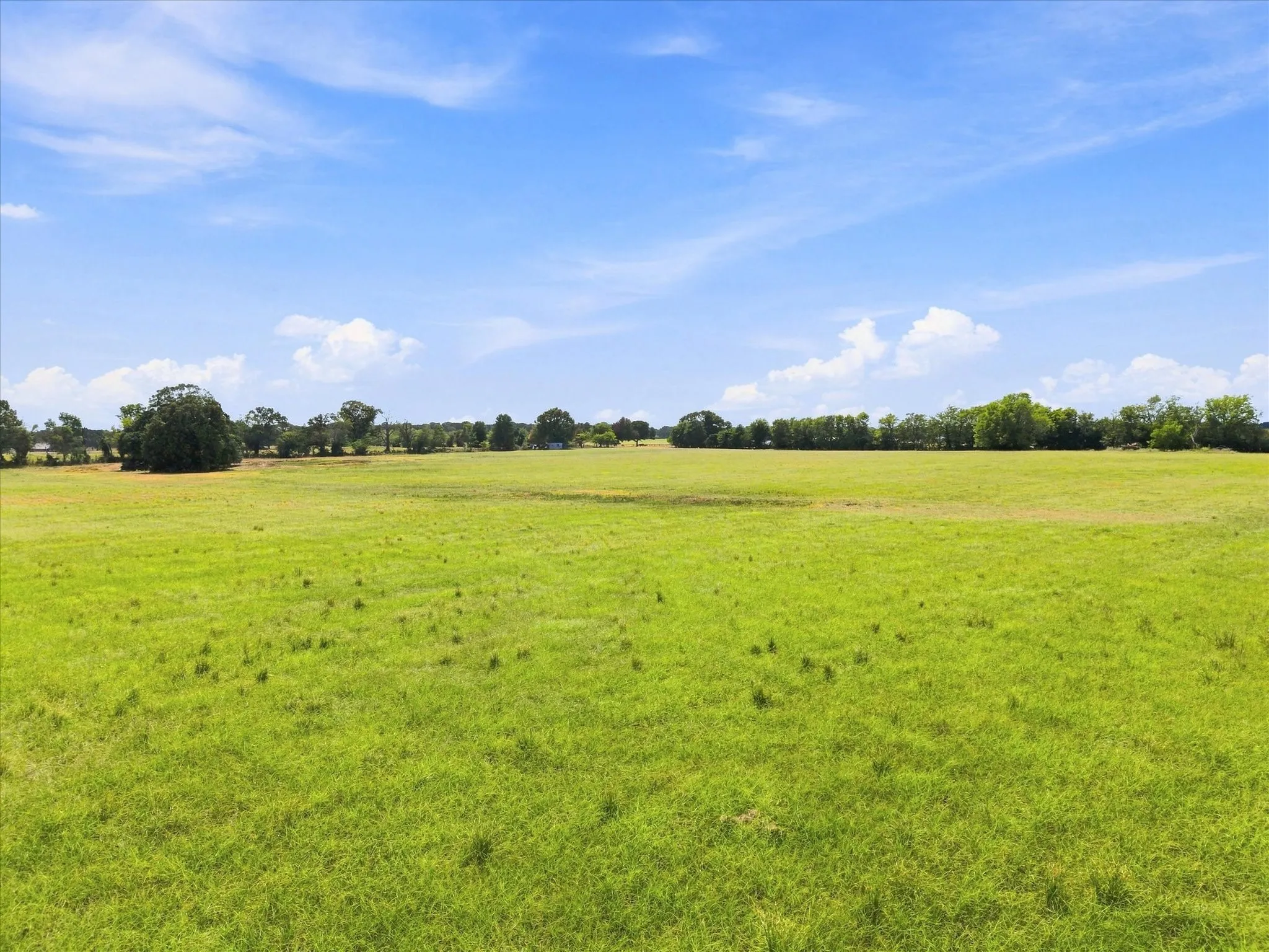 Unimproved Land For Sale in Rains County , TBD Rains County Road 2370, Alba, Texas 75410, 0, 0, Garage spaces, 0 Sqft, built in 0, mls#21371682, Real Estate Agent in Alba, Homes For Sale in Rains county, Homes For Sale in Alba, Realtor in Alba Texas, Real Estate Brokerage Independent Realty Texas, Luminita Cordes Realtor