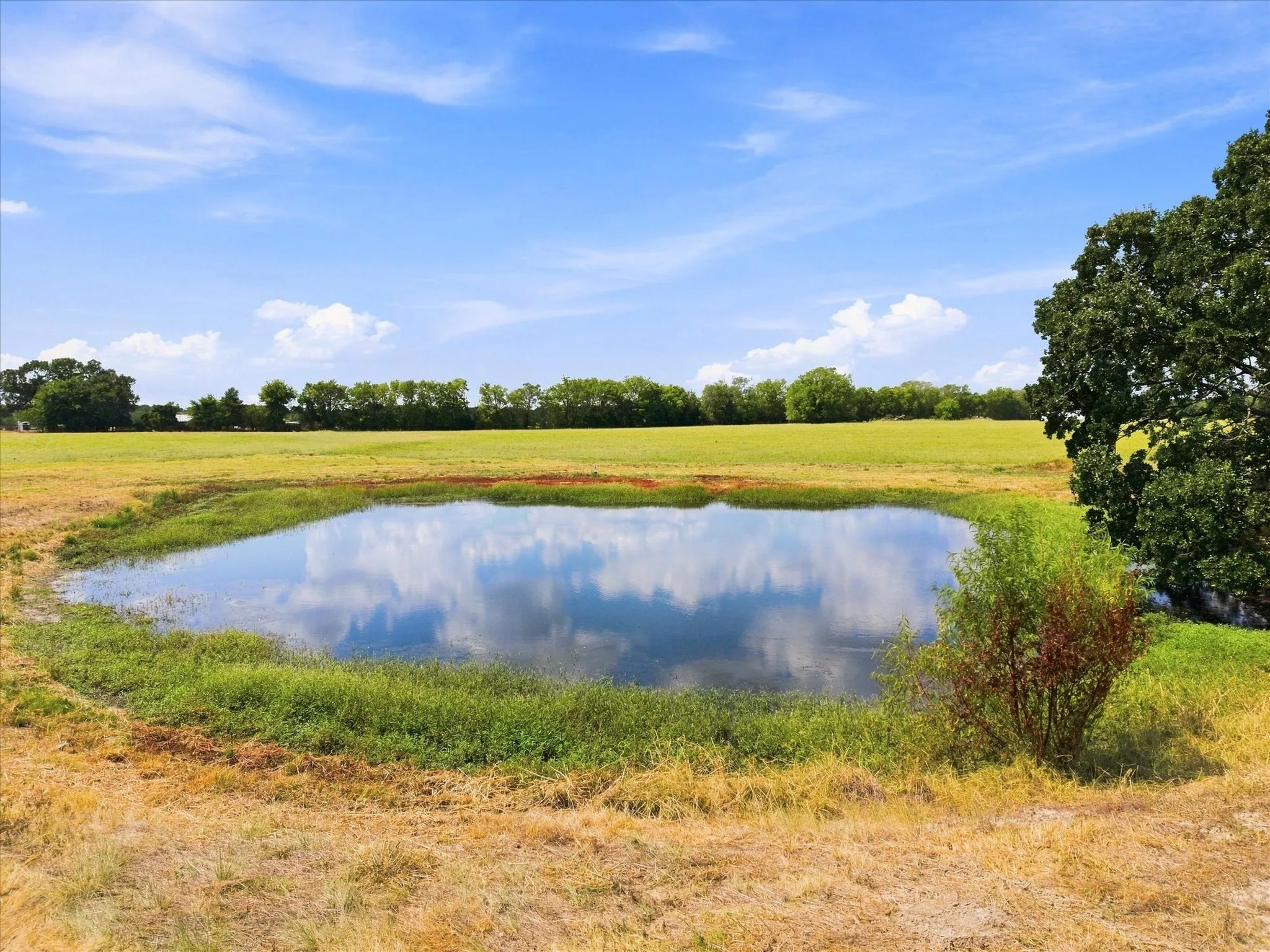 Unimproved Land For Sale in Rains County , TBD Rains County Road 2370, Alba, Texas 75410, 0, 0, Garage spaces, 0 Sqft, built in 0, mls#21371682, Real Estate Agent in Alba, Homes For Sale in Rains county, Homes For Sale in Alba, Realtor in Alba Texas, Real Estate Brokerage Independent Realty Texas, Luminita Cordes Realtor