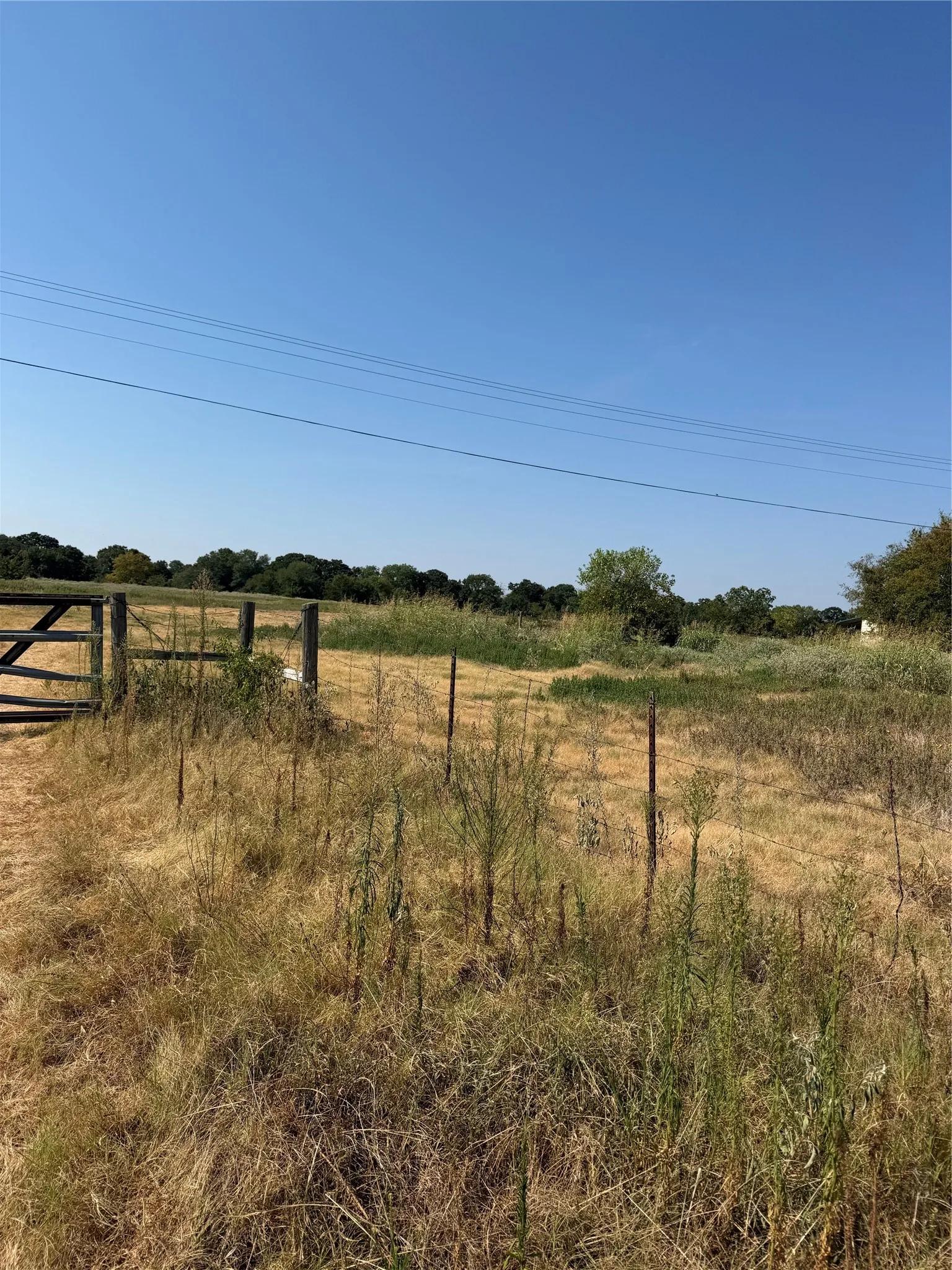 Ranch For Sale in Hunt County , TBD County Road 3707, Wills Point, Texas 75169, 0, 0, Garage spaces, 0 Sqft, built in 0, mls#21370618, Real Estate Agent in Wills Point, Homes For Sale in Hunt county, Homes For Sale in Wills Point, Realtor in Wills Point Texas, Real Estate Brokerage Independent Realty Texas, Luminita Cordes Realtor