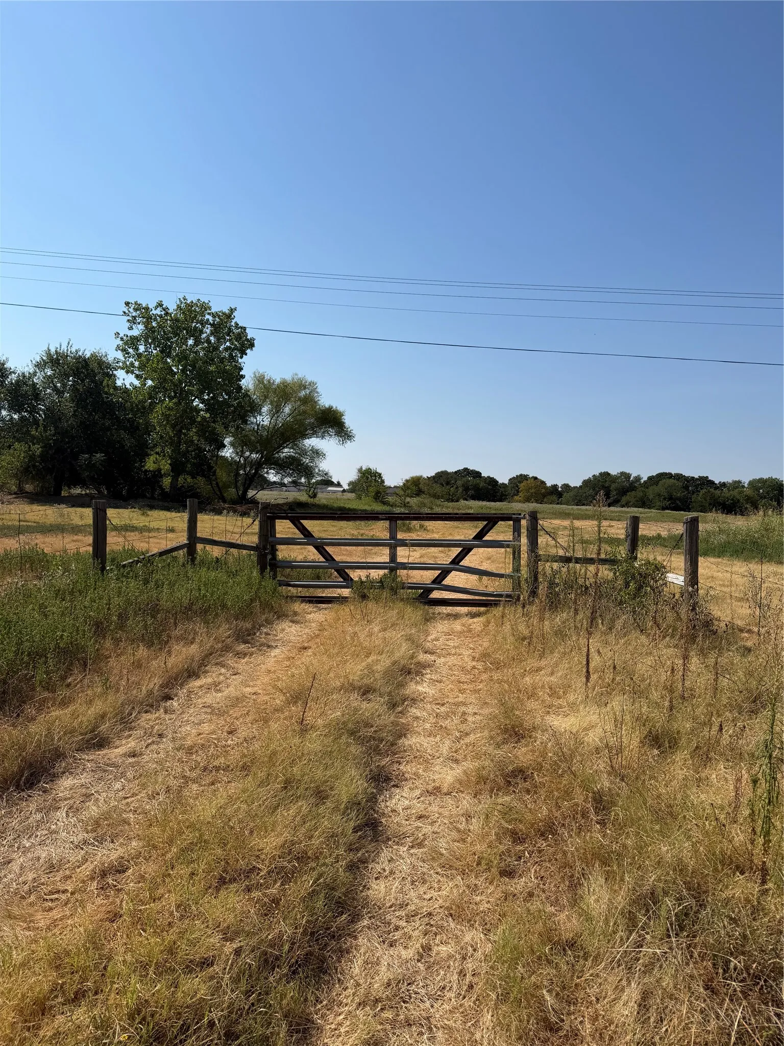 Ranch For Sale in Hunt County , TBD County Road 3707, Wills Point, Texas 75169, 0, 0, Garage spaces, 0 Sqft, built in 0, mls#21370618, Real Estate Agent in Wills Point, Homes For Sale in Hunt county, Homes For Sale in Wills Point, Realtor in Wills Point Texas, Real Estate Brokerage Independent Realty Texas, Luminita Cordes Realtor