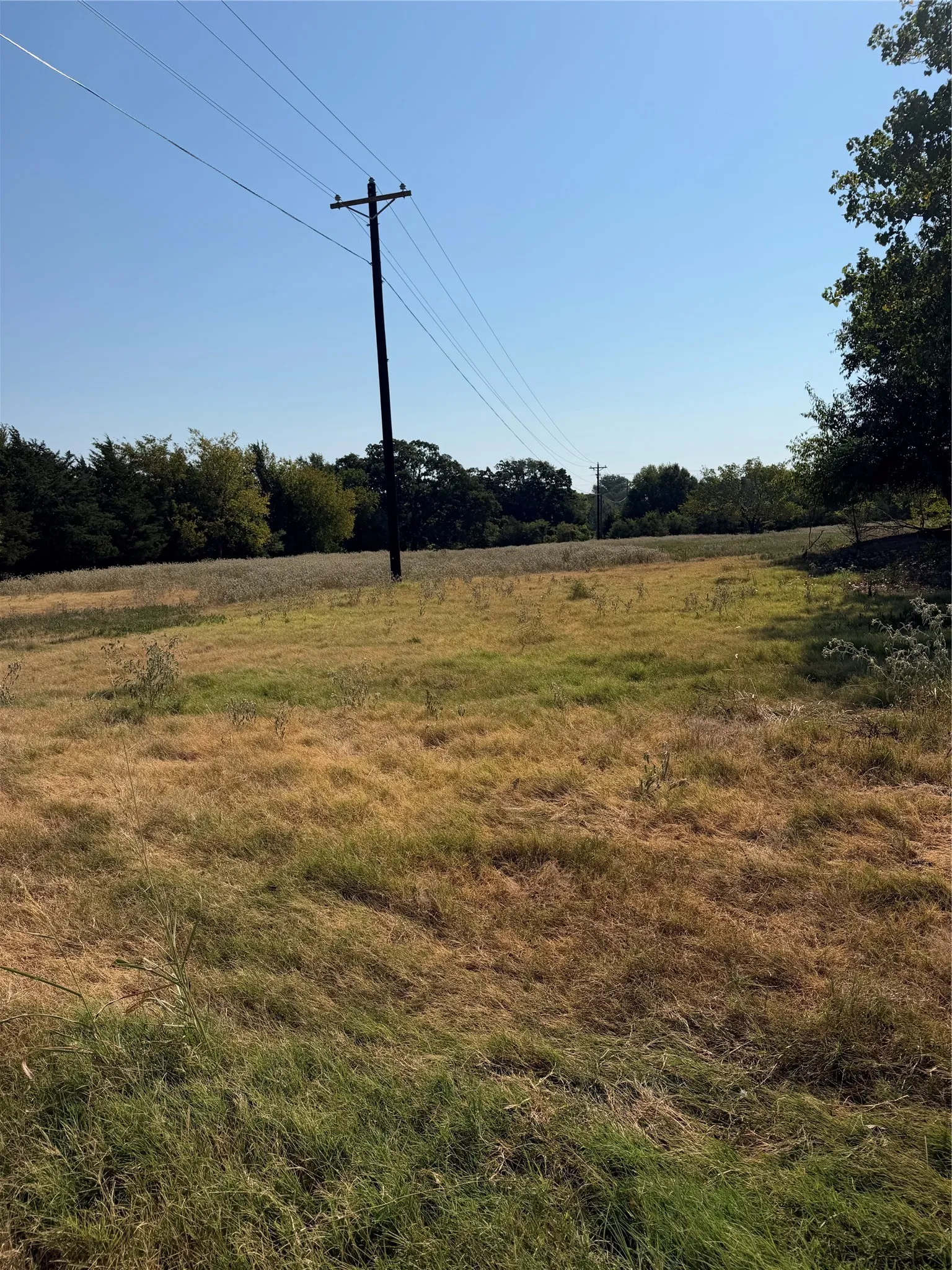 Ranch For Sale in Hunt County , TBD County Road 3707, Wills Point, Texas 75169, 0, 0, Garage spaces, 0 Sqft, built in 0, mls#21370618, Real Estate Agent in Wills Point, Homes For Sale in Hunt county, Homes For Sale in Wills Point, Realtor in Wills Point Texas, Real Estate Brokerage Independent Realty Texas, Luminita Cordes Realtor