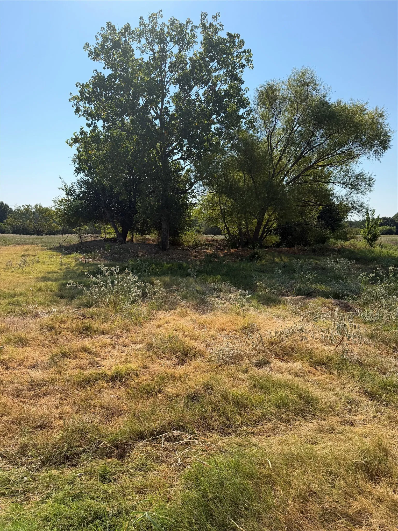 Ranch For Sale in Hunt County , TBD County Road 3707, Wills Point, Texas 75169, 0, 0, Garage spaces, 0 Sqft, built in 0, mls#21370618, Real Estate Agent in Wills Point, Homes For Sale in Hunt county, Homes For Sale in Wills Point, Realtor in Wills Point Texas, Real Estate Brokerage Independent Realty Texas, Luminita Cordes Realtor