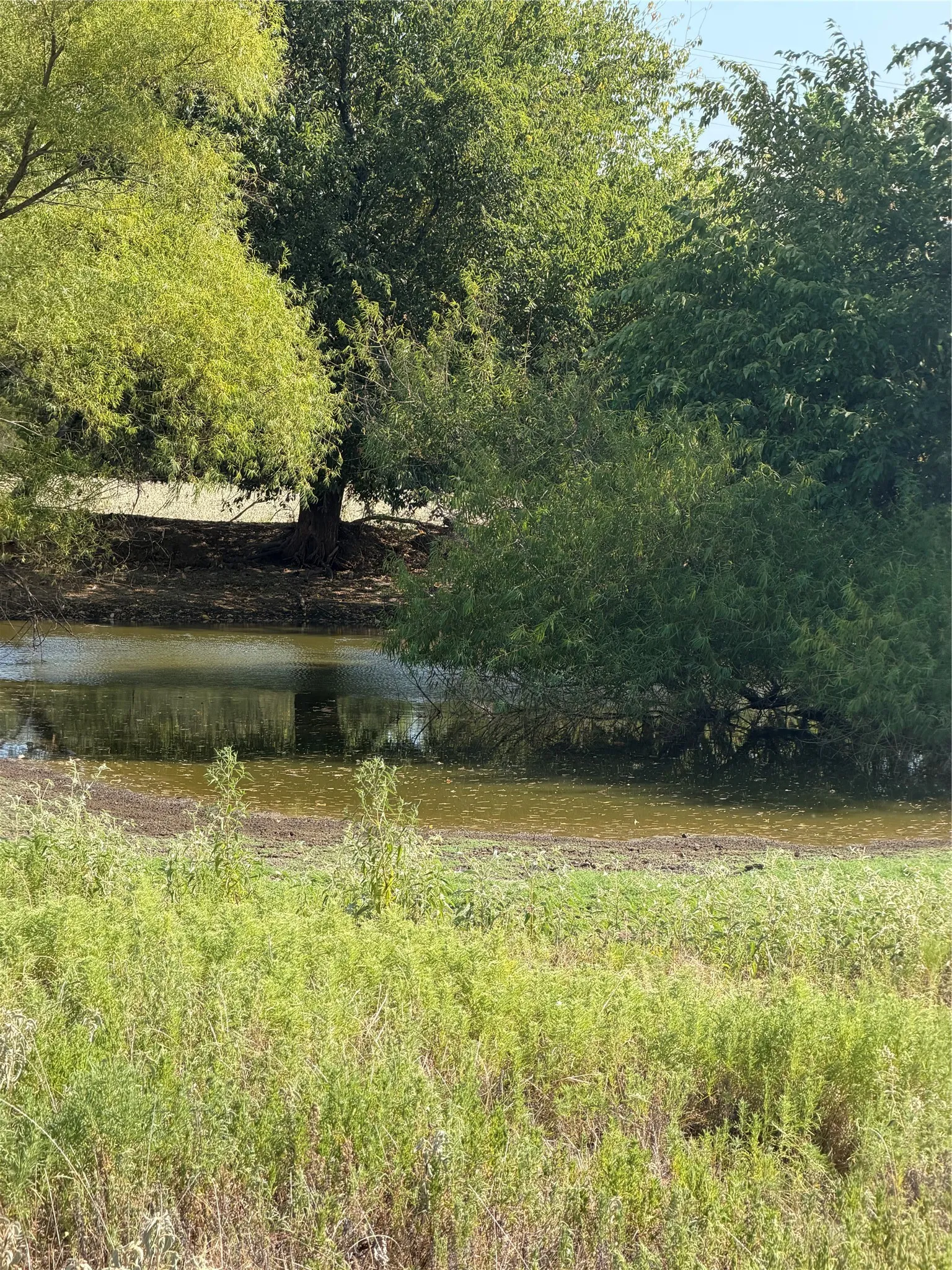 Ranch For Sale in Hunt County , TBD County Road 3707, Wills Point, Texas 75169, 0, 0, Garage spaces, 0 Sqft, built in 0, mls#21370618, Real Estate Agent in Wills Point, Homes For Sale in Hunt county, Homes For Sale in Wills Point, Realtor in Wills Point Texas, Real Estate Brokerage Independent Realty Texas, Luminita Cordes Realtor