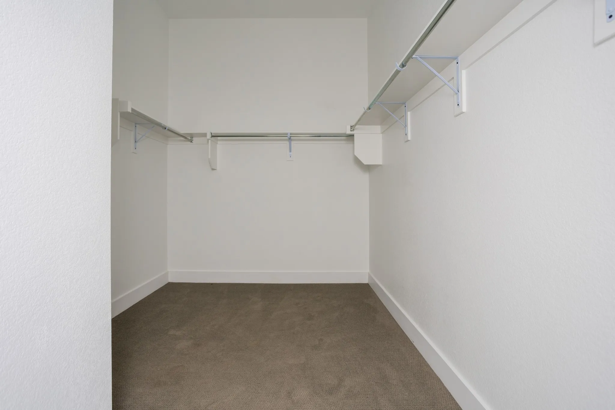Spacious walk-in closet featuring white walls, carpet flooring, and built-in shelving and hanging rods