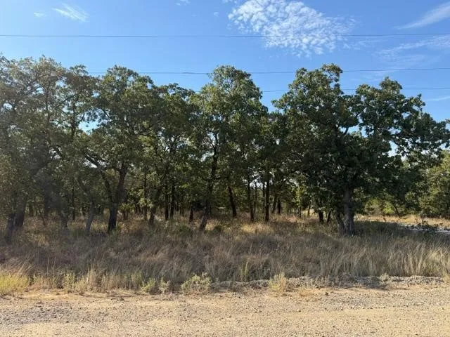 Improved Land For Sale in Montague County , 194 Cherokee Trail, Nocona, Texas 76255, 0, 0, Garage spaces, 0 Sqft, built in 0, mls#21373516, Real Estate Agent in Nocona, Homes For Sale in Montague county, Homes For Sale in Nocona, Realtor in Nocona Texas, Real Estate Brokerage Independent Realty Texas, Luminita Cordes Realtor