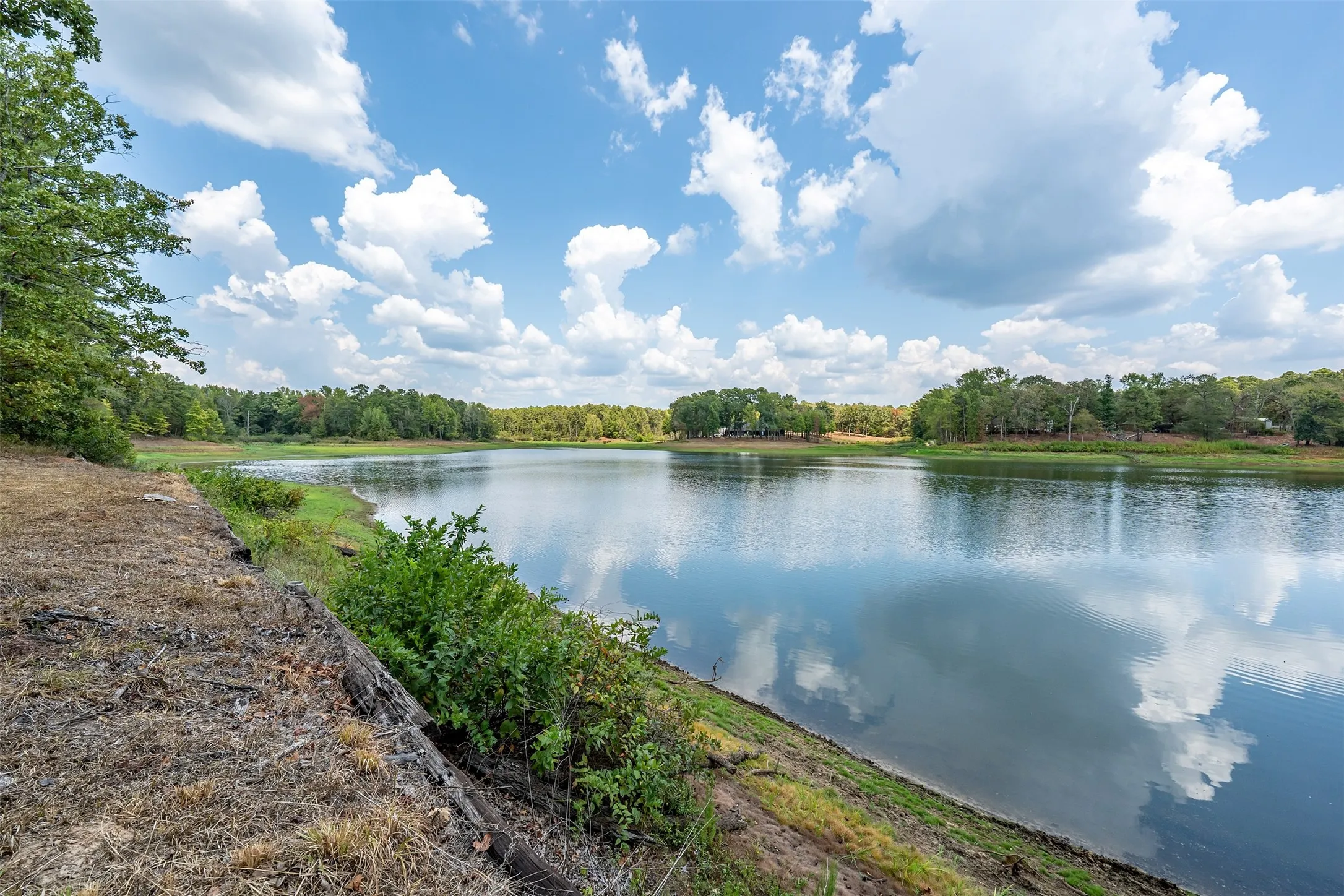 Expansive waterfront featuring mature trees and lush vegetation