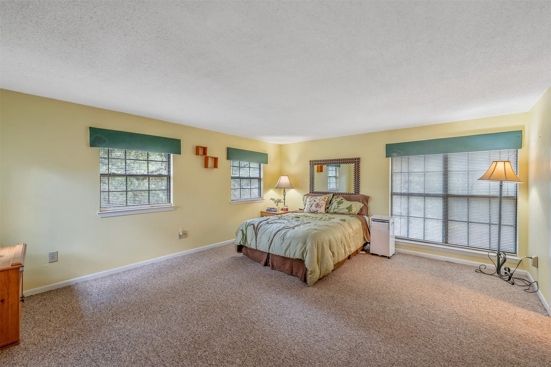 Spacious room with light-toned walls, carpeted flooring, and multiple windows