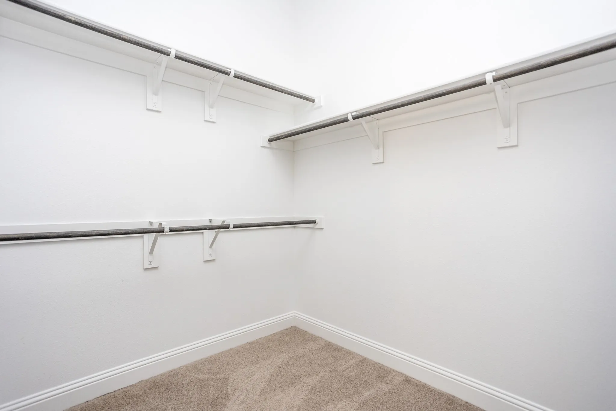 Wall-mounted clothing rods and shelving brackets over carpet flooring
