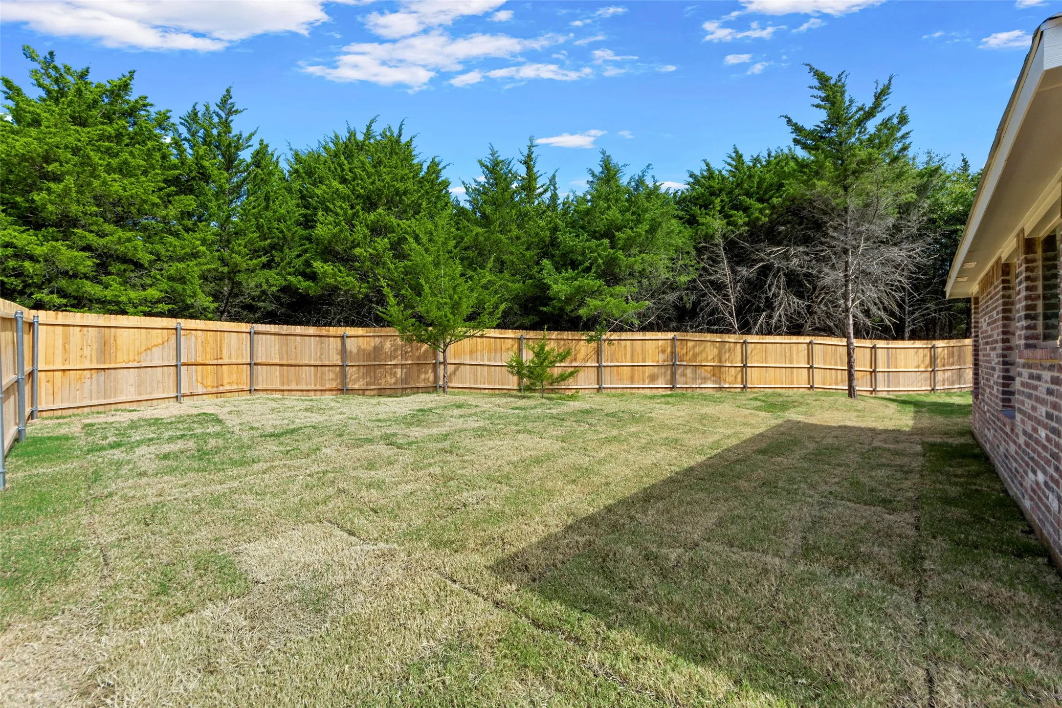 Expansive backyard with a new wood privacy fence, established trees, and a brick exterior