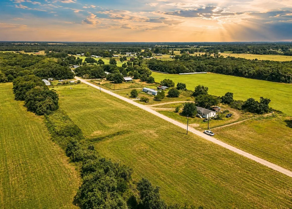 Expansive green acreage with mature trees and a long, unpaved road