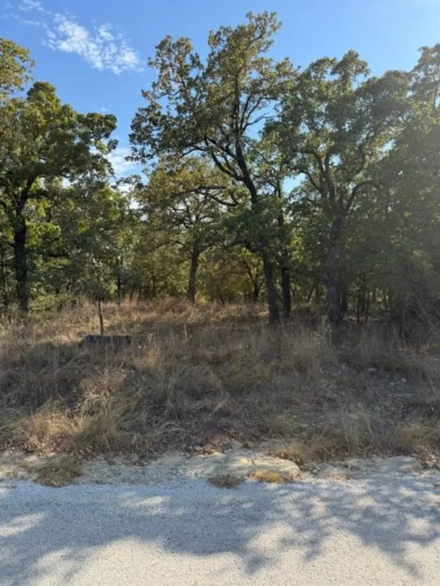 Improved Land For Sale in Montague County , 192 Cherokee Trail, Nocona, Texas 76255, 0, 0, Garage spaces, 0 Sqft, built in 0, mls#21373613, Real Estate Agent in Nocona, Homes For Sale in Montague county, Homes For Sale in Nocona, Realtor in Nocona Texas, Real Estate Brokerage Independent Realty Texas, Luminita Cordes Realtor