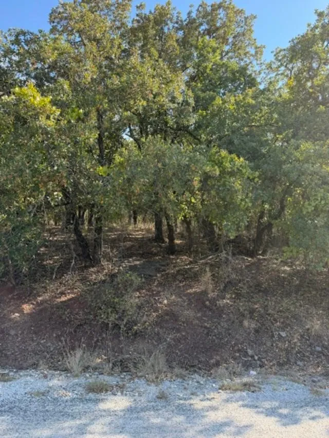 Improved Land For Sale in Montague County , 188 Cherokee Trail, Nocona, Texas 76255, 0, 0, Garage spaces, 0 Sqft, built in 0, mls#21373635, Real Estate Agent in Nocona, Homes For Sale in Montague county, Homes For Sale in Nocona, Realtor in Nocona Texas, Real Estate Brokerage Independent Realty Texas, Luminita Cordes Realtor