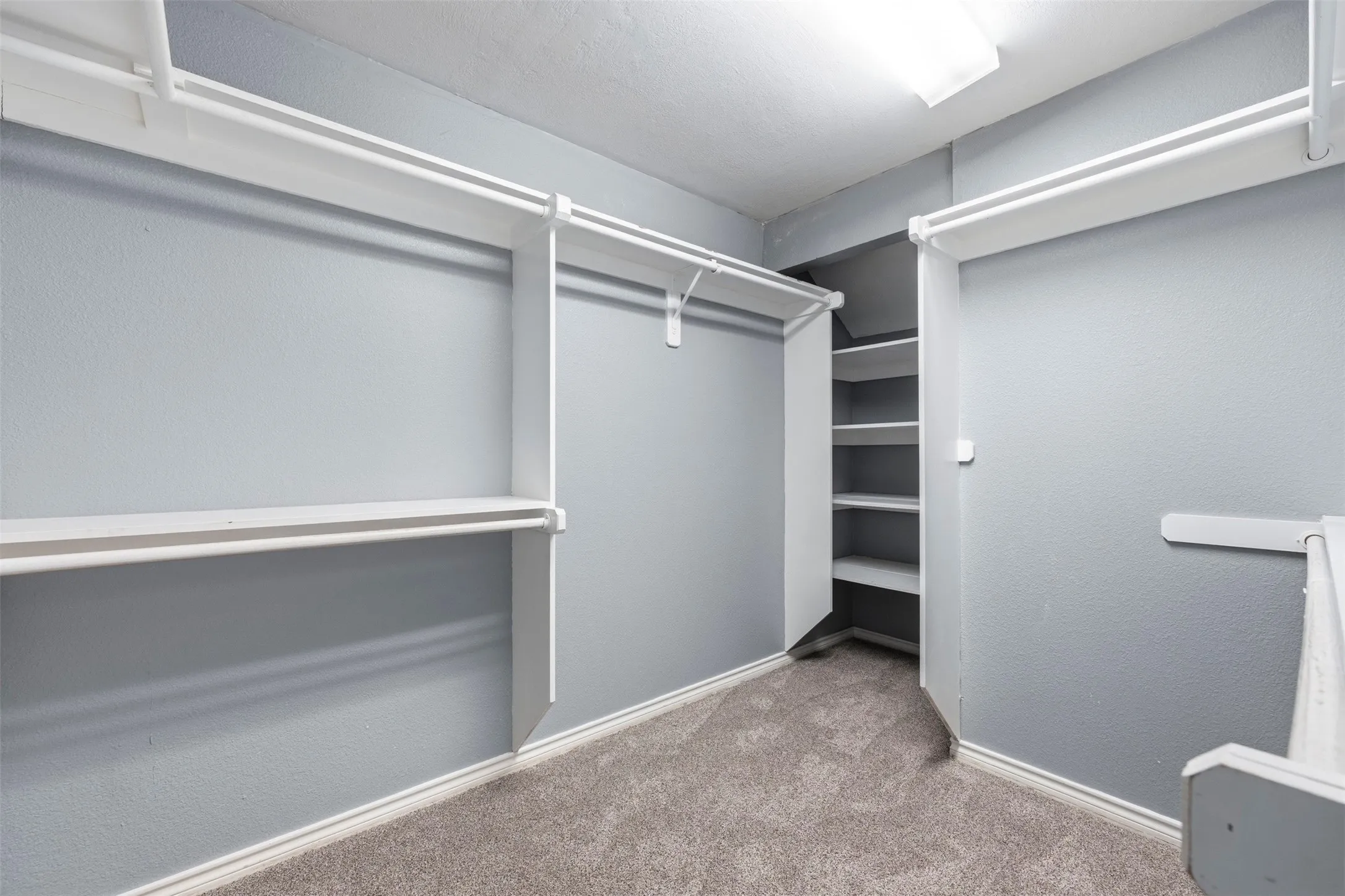 Walk-in closet with carpet flooring, white baseboards, multiple shelving units, and clothing rods