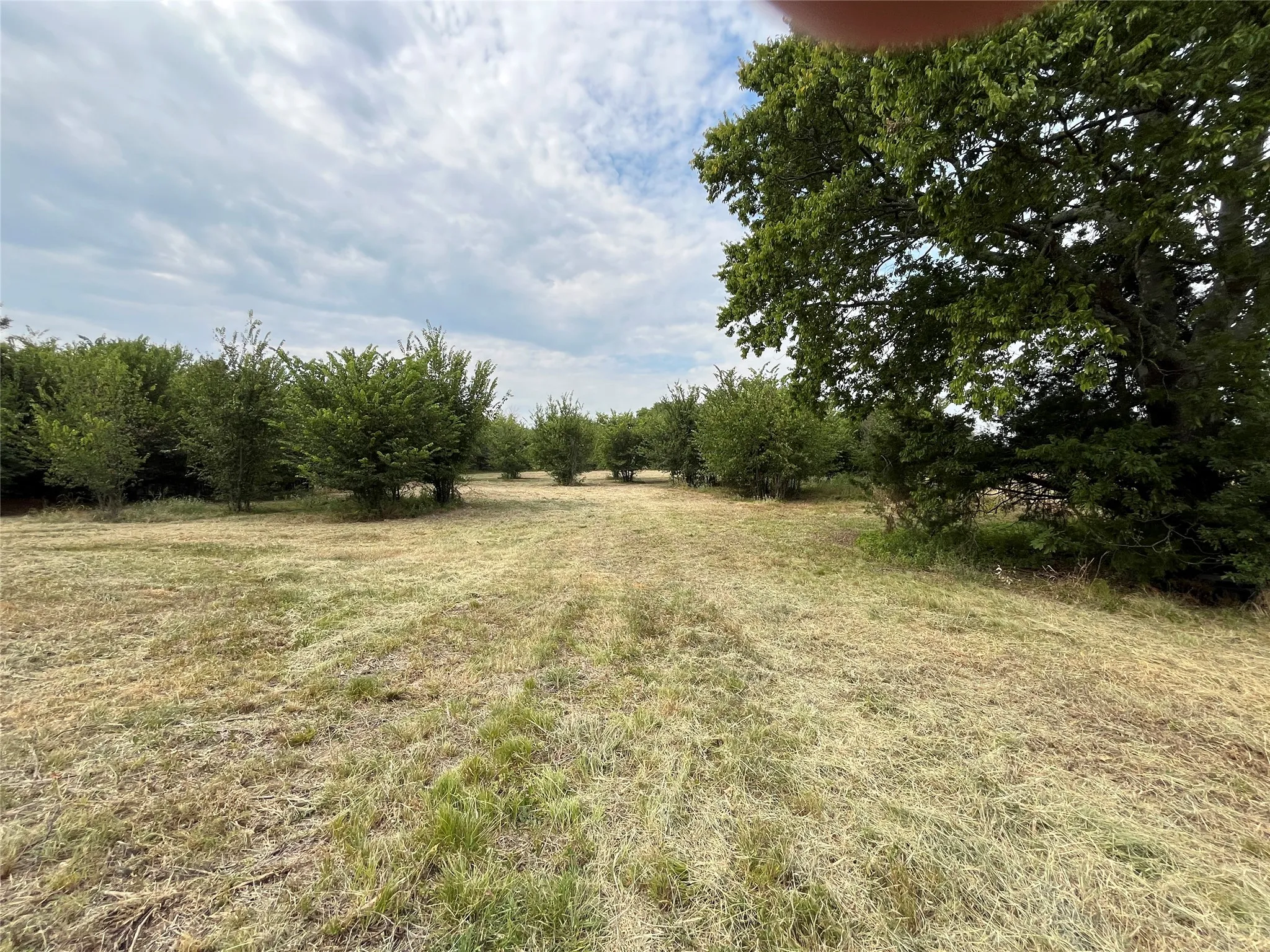 Improved Land For Sale in Fannin County , 404 E Maple Street, Ravenna, Texas 75476, 0, 0, Garage spaces, 0 Sqft, built in 0, mls#21373545, Real Estate Agent in Ravenna, Homes For Sale in Fannin county, Homes For Sale in Ravenna, Realtor in Ravenna Texas, Real Estate Brokerage Independent Realty Texas, Luminita Cordes Realtor