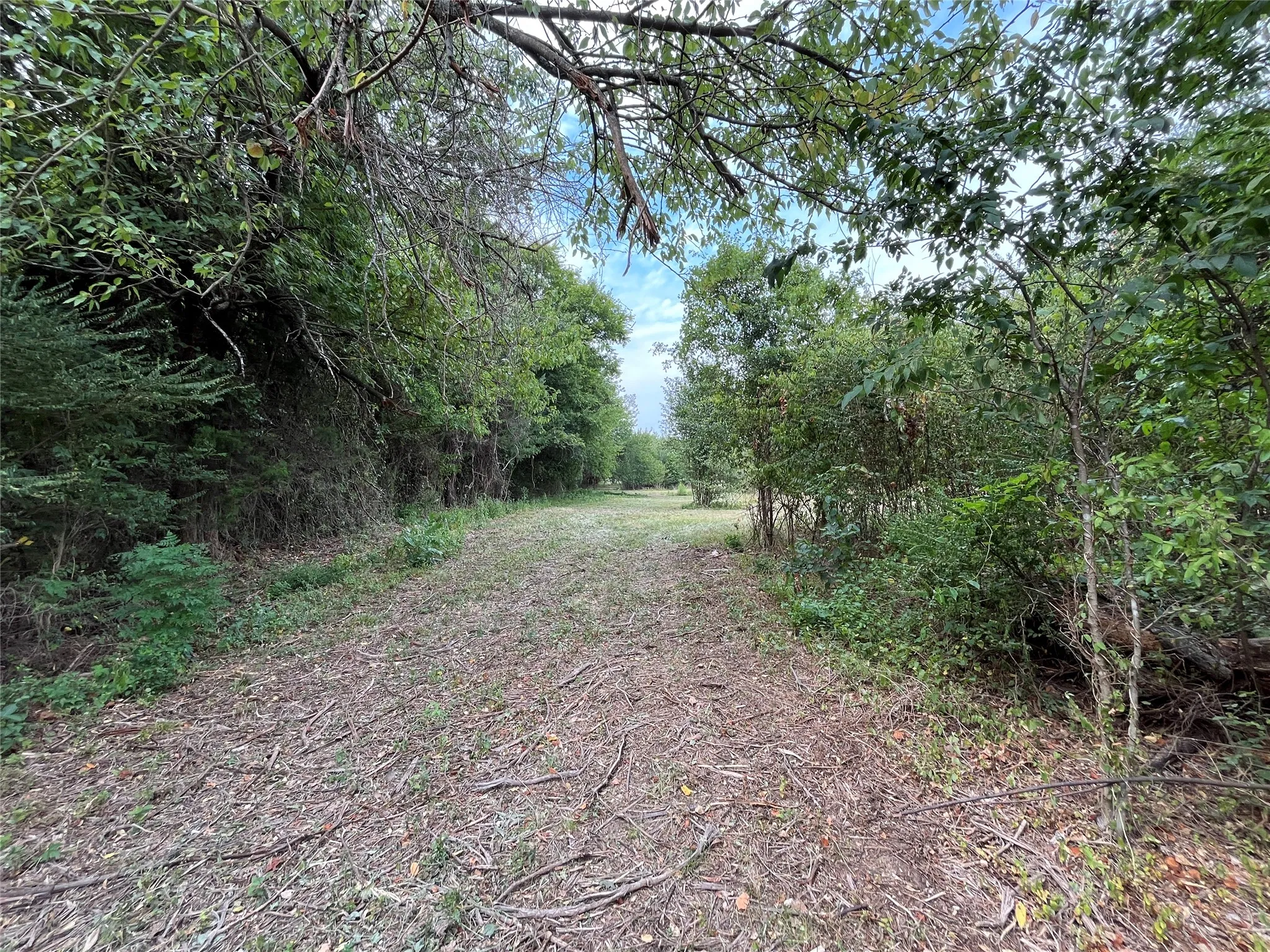 Improved Land For Sale in Fannin County , 404 E Maple Street, Ravenna, Texas 75476, 0, 0, Garage spaces, 0 Sqft, built in 0, mls#21373545, Real Estate Agent in Ravenna, Homes For Sale in Fannin county, Homes For Sale in Ravenna, Realtor in Ravenna Texas, Real Estate Brokerage Independent Realty Texas, Luminita Cordes Realtor