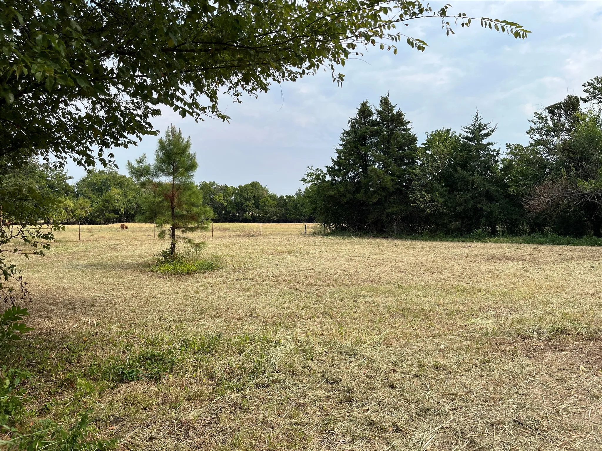 Improved Land For Sale in Fannin County , 404 E Maple Street, Ravenna, Texas 75476, 0, 0, Garage spaces, 0 Sqft, built in 0, mls#21373545, Real Estate Agent in Ravenna, Homes For Sale in Fannin county, Homes For Sale in Ravenna, Realtor in Ravenna Texas, Real Estate Brokerage Independent Realty Texas, Luminita Cordes Realtor