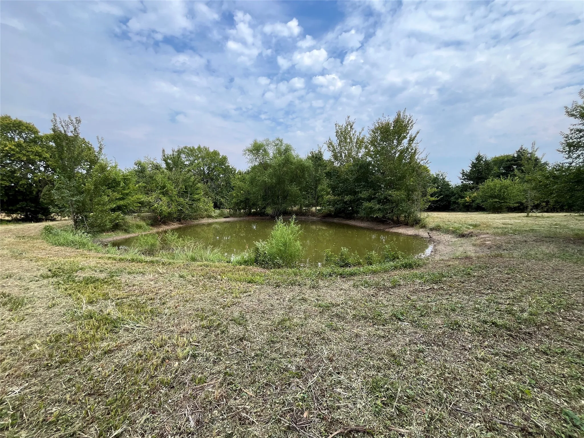 Improved Land For Sale in Fannin County , 404 E Maple Street, Ravenna, Texas 75476, 0, 0, Garage spaces, 0 Sqft, built in 0, mls#21373545, Real Estate Agent in Ravenna, Homes For Sale in Fannin county, Homes For Sale in Ravenna, Realtor in Ravenna Texas, Real Estate Brokerage Independent Realty Texas, Luminita Cordes Realtor