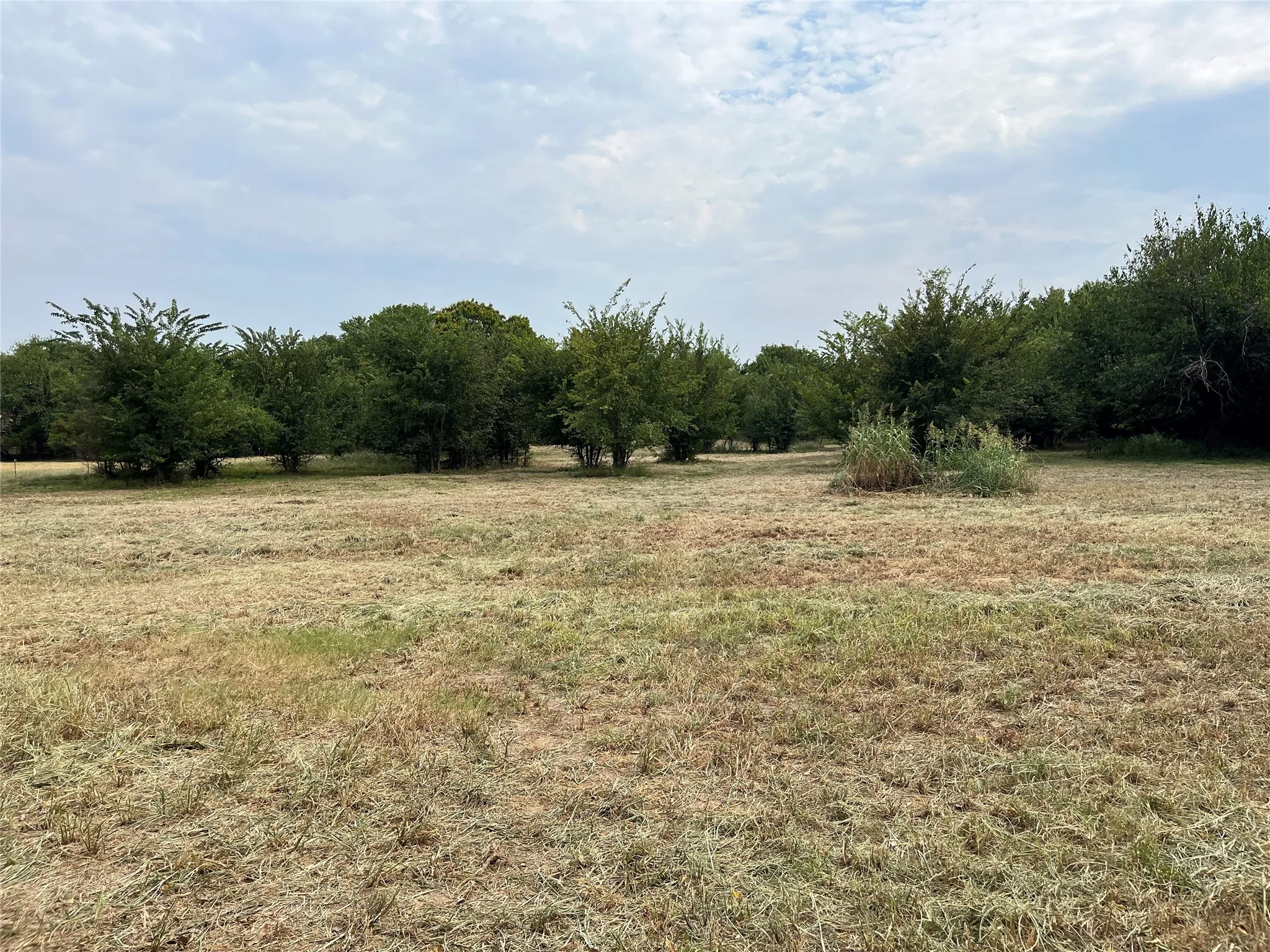 Improved Land For Sale in Fannin County , 404 E Maple Street, Ravenna, Texas 75476, 0, 0, Garage spaces, 0 Sqft, built in 0, mls#21373545, Real Estate Agent in Ravenna, Homes For Sale in Fannin county, Homes For Sale in Ravenna, Realtor in Ravenna Texas, Real Estate Brokerage Independent Realty Texas, Luminita Cordes Realtor
