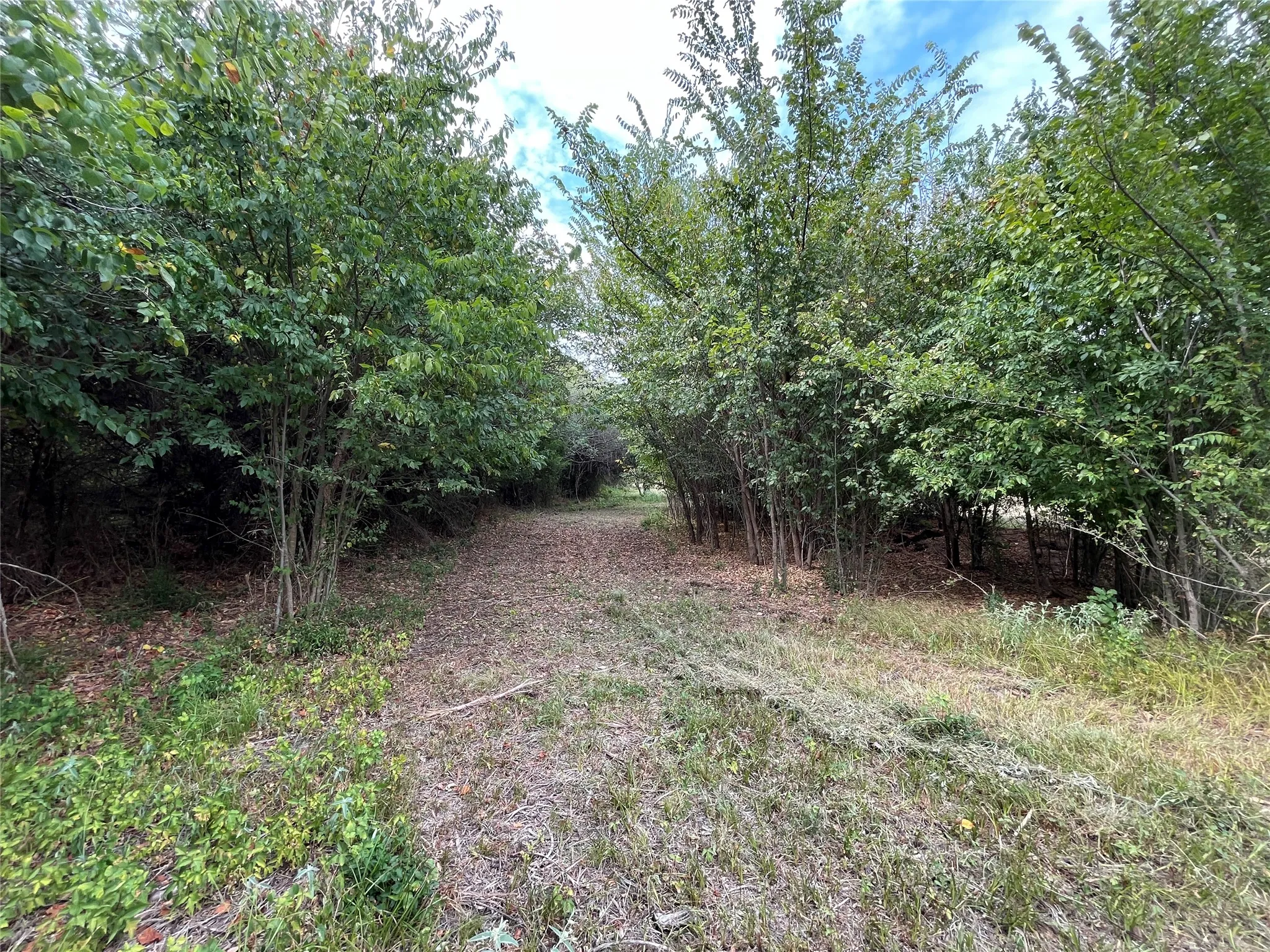 Improved Land For Sale in Fannin County , 404 E Maple Street, Ravenna, Texas 75476, 0, 0, Garage spaces, 0 Sqft, built in 0, mls#21373545, Real Estate Agent in Ravenna, Homes For Sale in Fannin county, Homes For Sale in Ravenna, Realtor in Ravenna Texas, Real Estate Brokerage Independent Realty Texas, Luminita Cordes Realtor