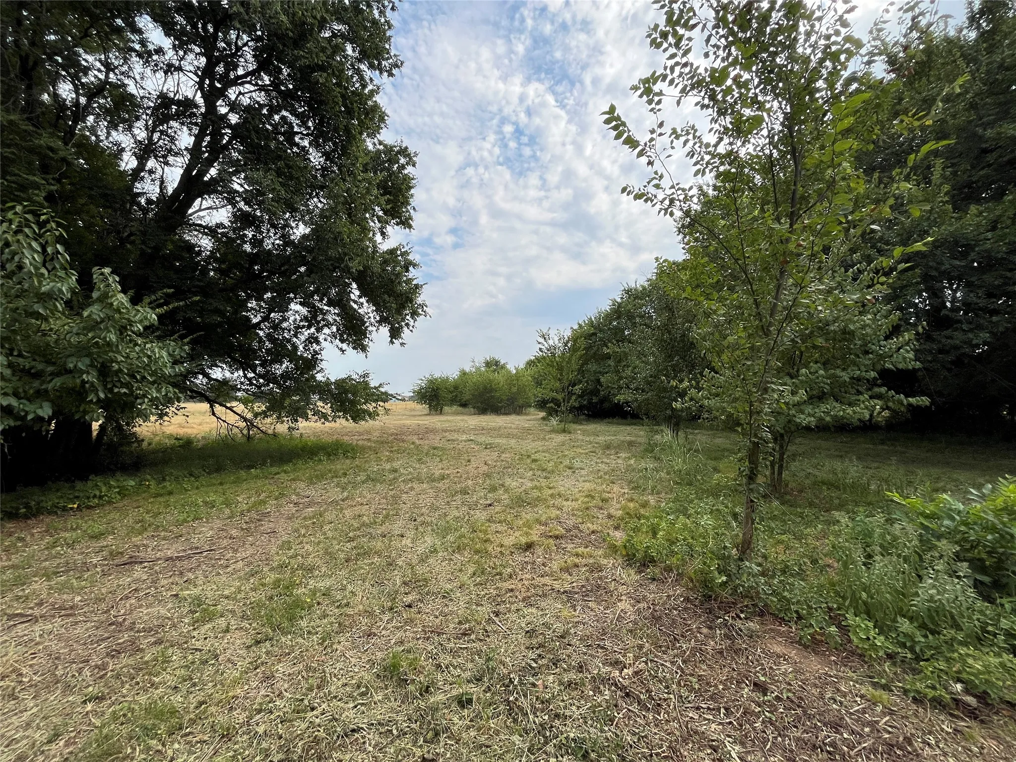 Improved Land For Sale in Fannin County , 404 E Maple Street, Ravenna, Texas 75476, 0, 0, Garage spaces, 0 Sqft, built in 0, mls#21373545, Real Estate Agent in Ravenna, Homes For Sale in Fannin county, Homes For Sale in Ravenna, Realtor in Ravenna Texas, Real Estate Brokerage Independent Realty Texas, Luminita Cordes Realtor