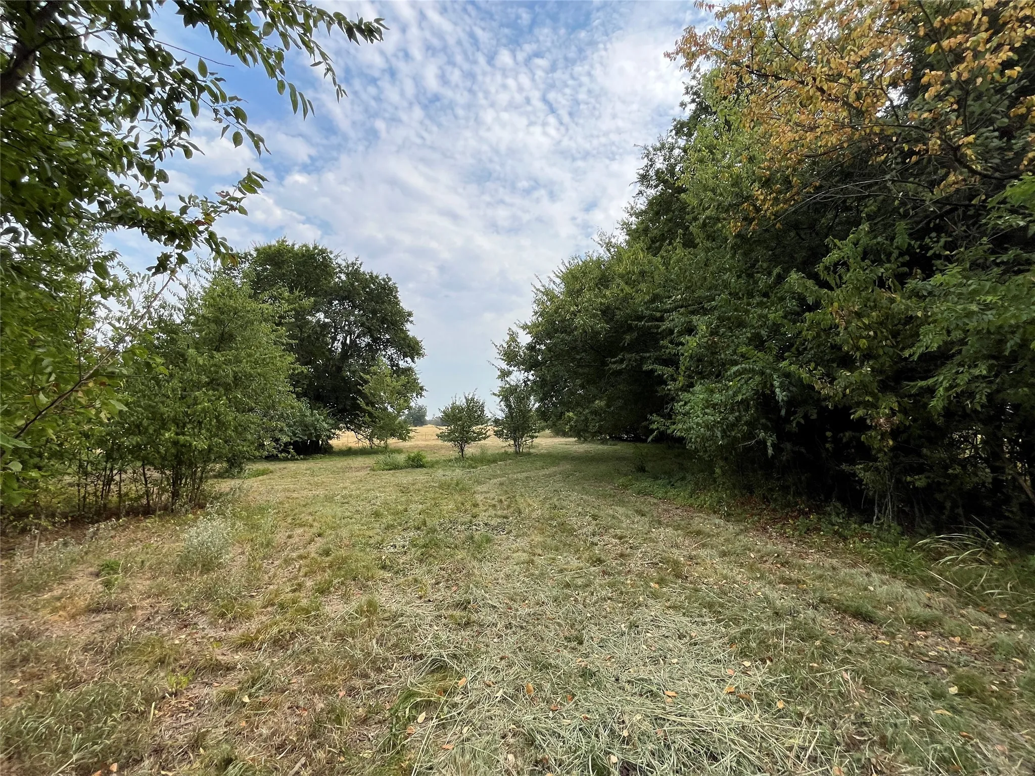 Improved Land For Sale in Fannin County , 404 E Maple Street, Ravenna, Texas 75476, 0, 0, Garage spaces, 0 Sqft, built in 0, mls#21373545, Real Estate Agent in Ravenna, Homes For Sale in Fannin county, Homes For Sale in Ravenna, Realtor in Ravenna Texas, Real Estate Brokerage Independent Realty Texas, Luminita Cordes Realtor