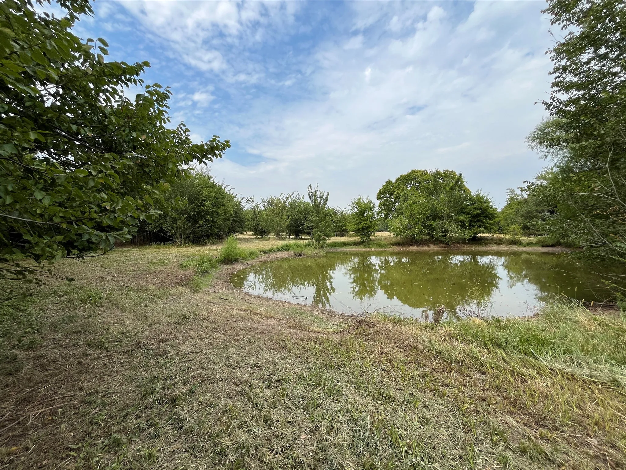 Improved Land For Sale in Fannin County , 404 E Maple Street, Ravenna, Texas 75476, 0, 0, Garage spaces, 0 Sqft, built in 0, mls#21373545, Real Estate Agent in Ravenna, Homes For Sale in Fannin county, Homes For Sale in Ravenna, Realtor in Ravenna Texas, Real Estate Brokerage Independent Realty Texas, Luminita Cordes Realtor