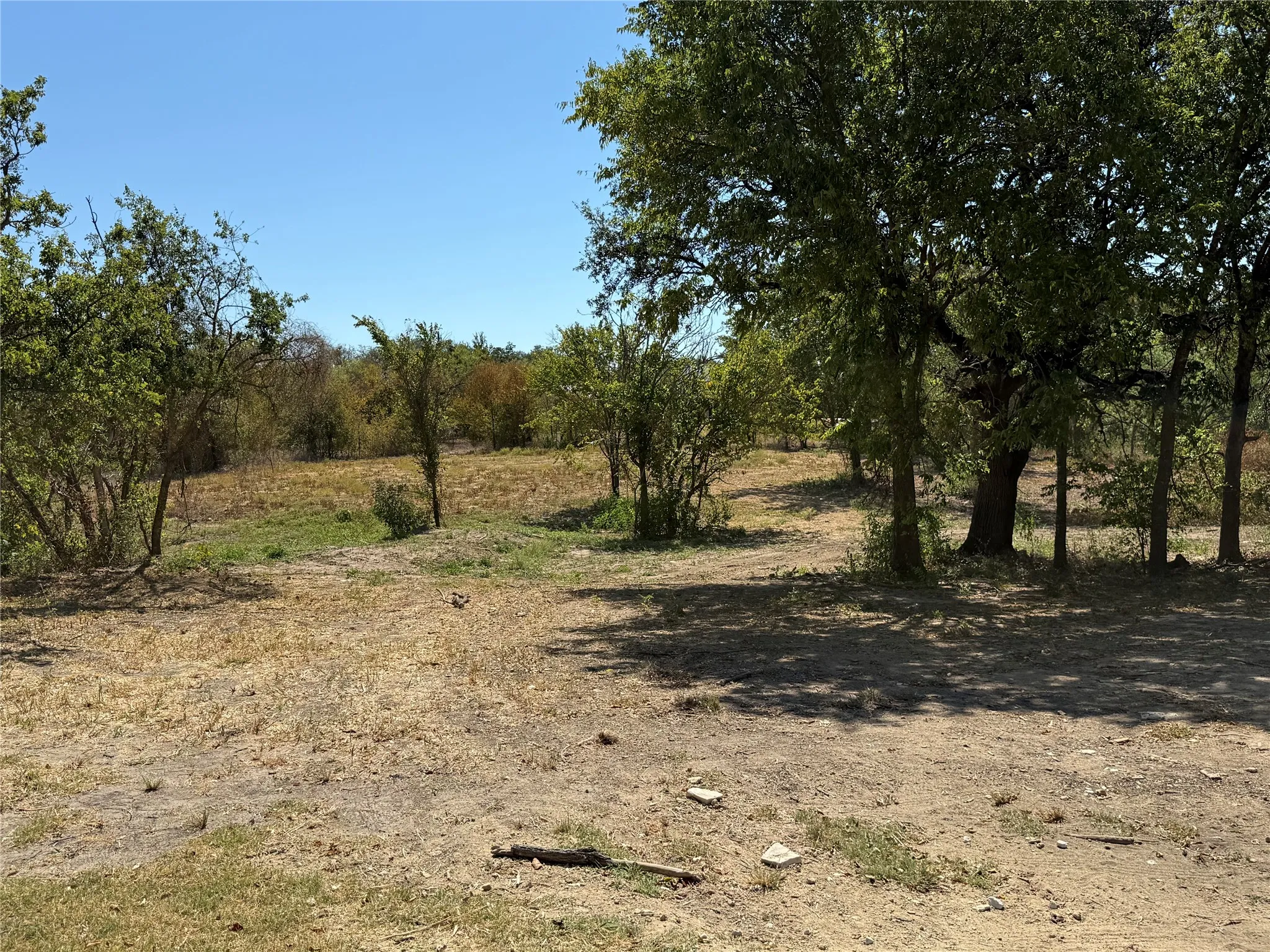 Expansive undeveloped land with mature trees and natural vegetation