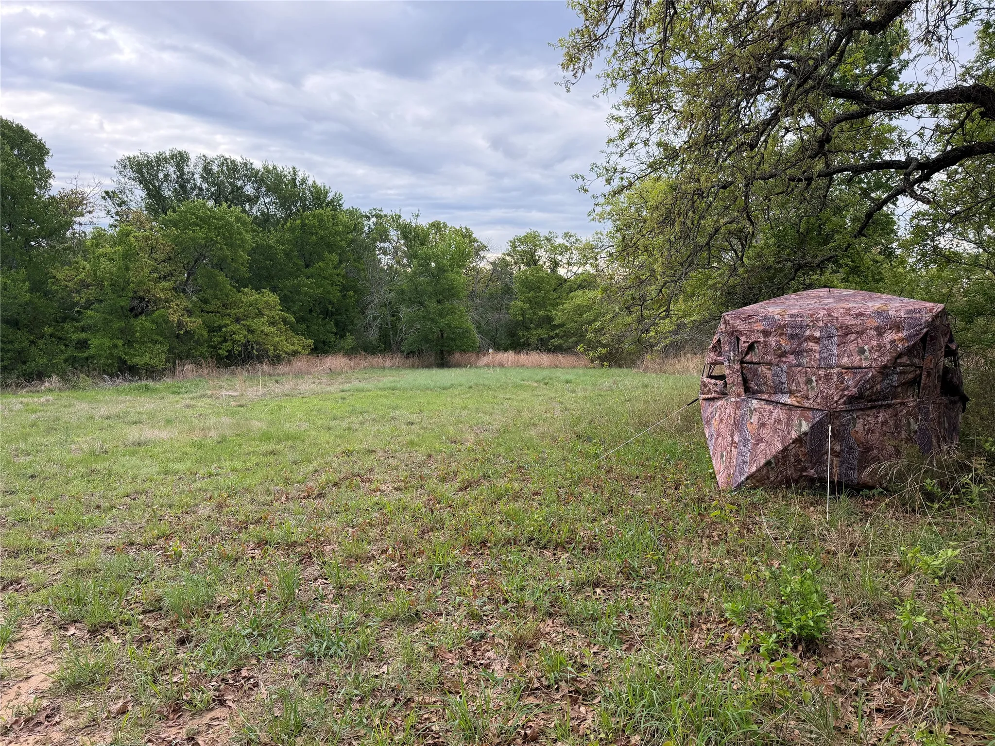 Unimproved Land For Sale in Parker County , 1576 Adell Circle, Peaster, Texas 76088, 0, 0, Garage spaces, 0 Sqft, built in 0, mls#21373661, Real Estate Agent in Peaster, Homes For Sale in Parker county, Homes For Sale in Peaster, Realtor in Peaster Texas, Real Estate Brokerage Independent Realty Texas, Luminita Cordes Realtor