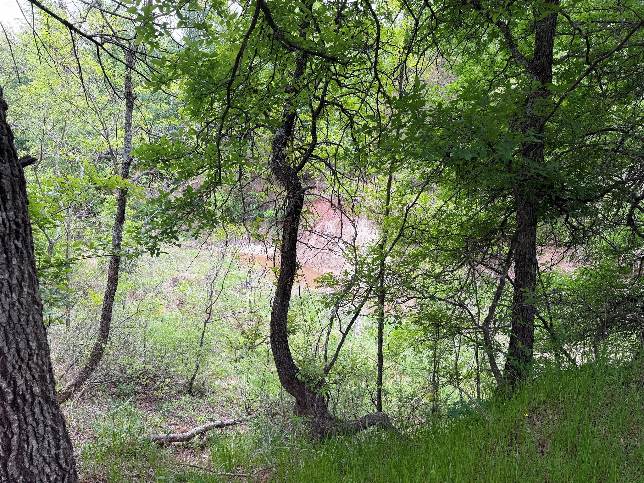 Unimproved Land For Sale in Parker County , 1576 Adell Circle, Peaster, Texas 76088, 0, 0, Garage spaces, 0 Sqft, built in 0, mls#21373661, Real Estate Agent in Peaster, Homes For Sale in Parker county, Homes For Sale in Peaster, Realtor in Peaster Texas, Real Estate Brokerage Independent Realty Texas, Luminita Cordes Realtor