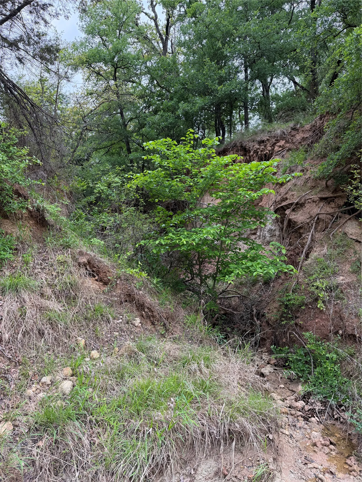 Unimproved Land For Sale in Parker County , 1576 Adell Circle, Peaster, Texas 76088, 0, 0, Garage spaces, 0 Sqft, built in 0, mls#21373661, Real Estate Agent in Peaster, Homes For Sale in Parker county, Homes For Sale in Peaster, Realtor in Peaster Texas, Real Estate Brokerage Independent Realty Texas, Luminita Cordes Realtor