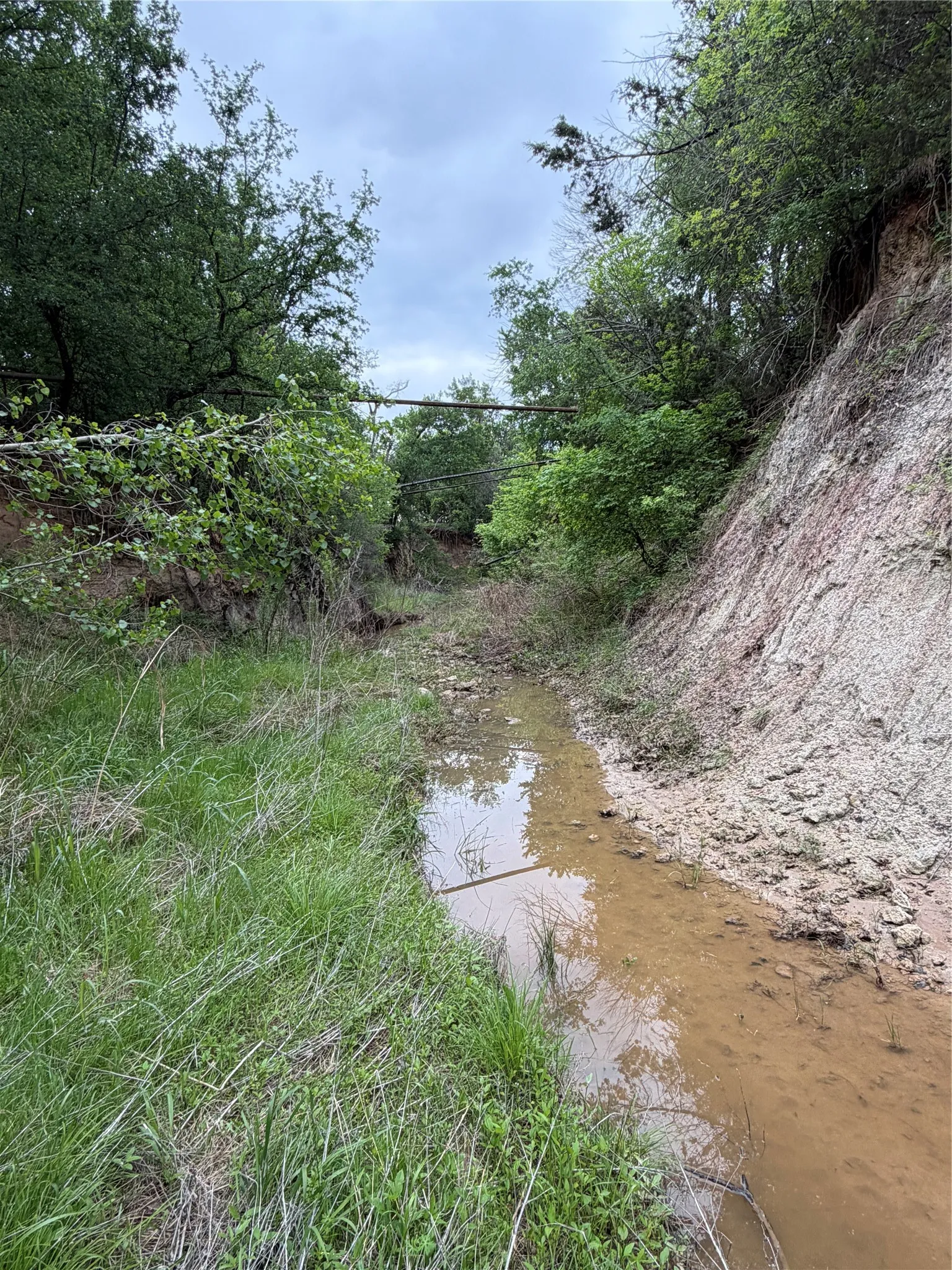 Unimproved Land For Sale in Parker County , 1576 Adell Circle, Peaster, Texas 76088, 0, 0, Garage spaces, 0 Sqft, built in 0, mls#21373661, Real Estate Agent in Peaster, Homes For Sale in Parker county, Homes For Sale in Peaster, Realtor in Peaster Texas, Real Estate Brokerage Independent Realty Texas, Luminita Cordes Realtor
