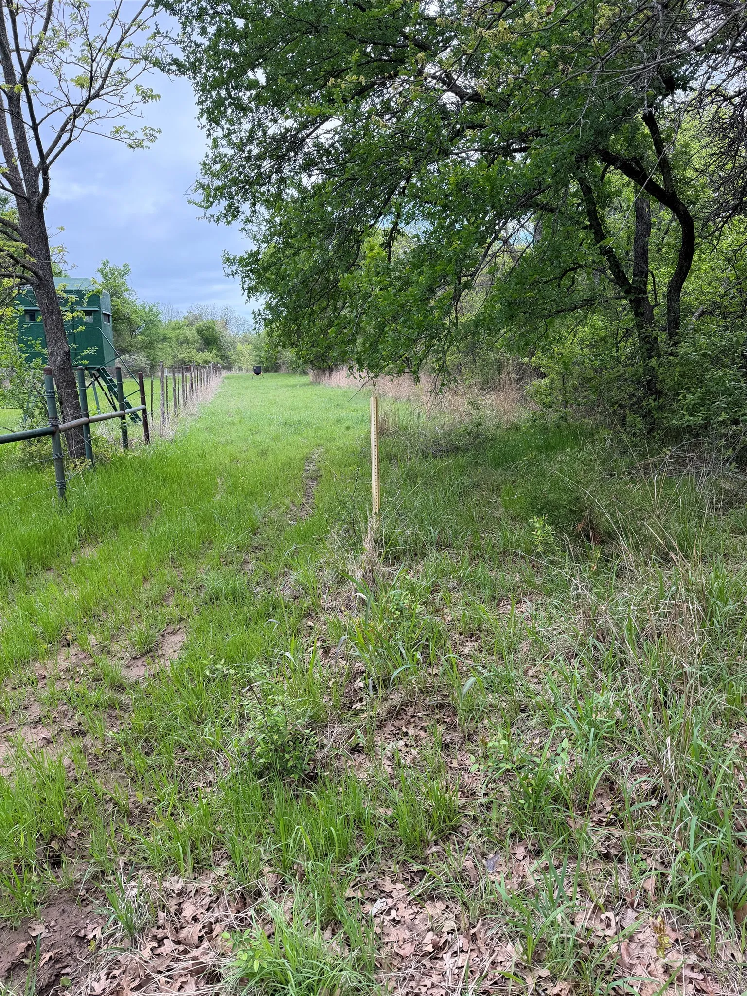 Unimproved Land For Sale in Parker County , 1576 Adell Circle, Peaster, Texas 76088, 0, 0, Garage spaces, 0 Sqft, built in 0, mls#21373661, Real Estate Agent in Peaster, Homes For Sale in Parker county, Homes For Sale in Peaster, Realtor in Peaster Texas, Real Estate Brokerage Independent Realty Texas, Luminita Cordes Realtor